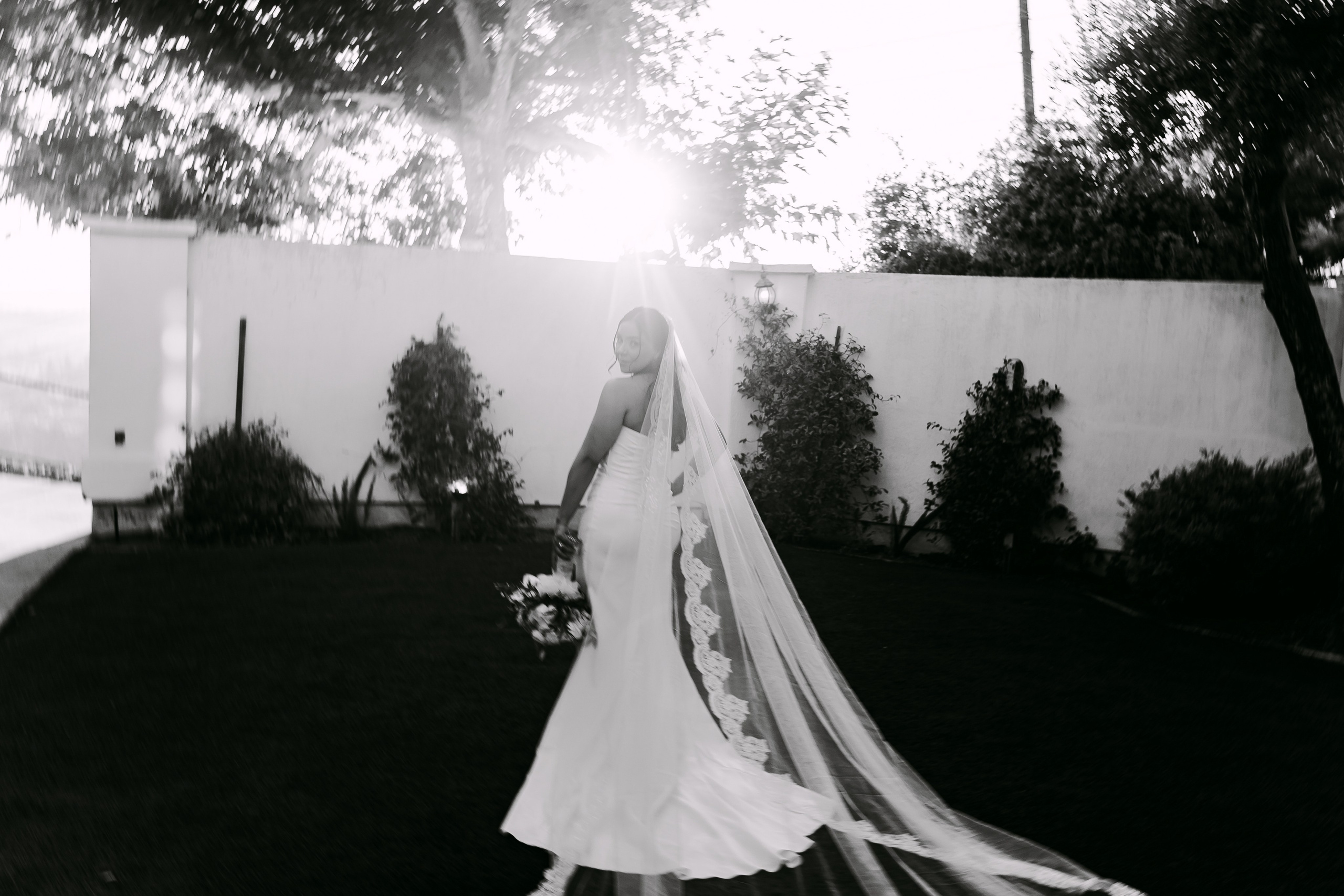 Jazzmin & Alan. Babich_weddings