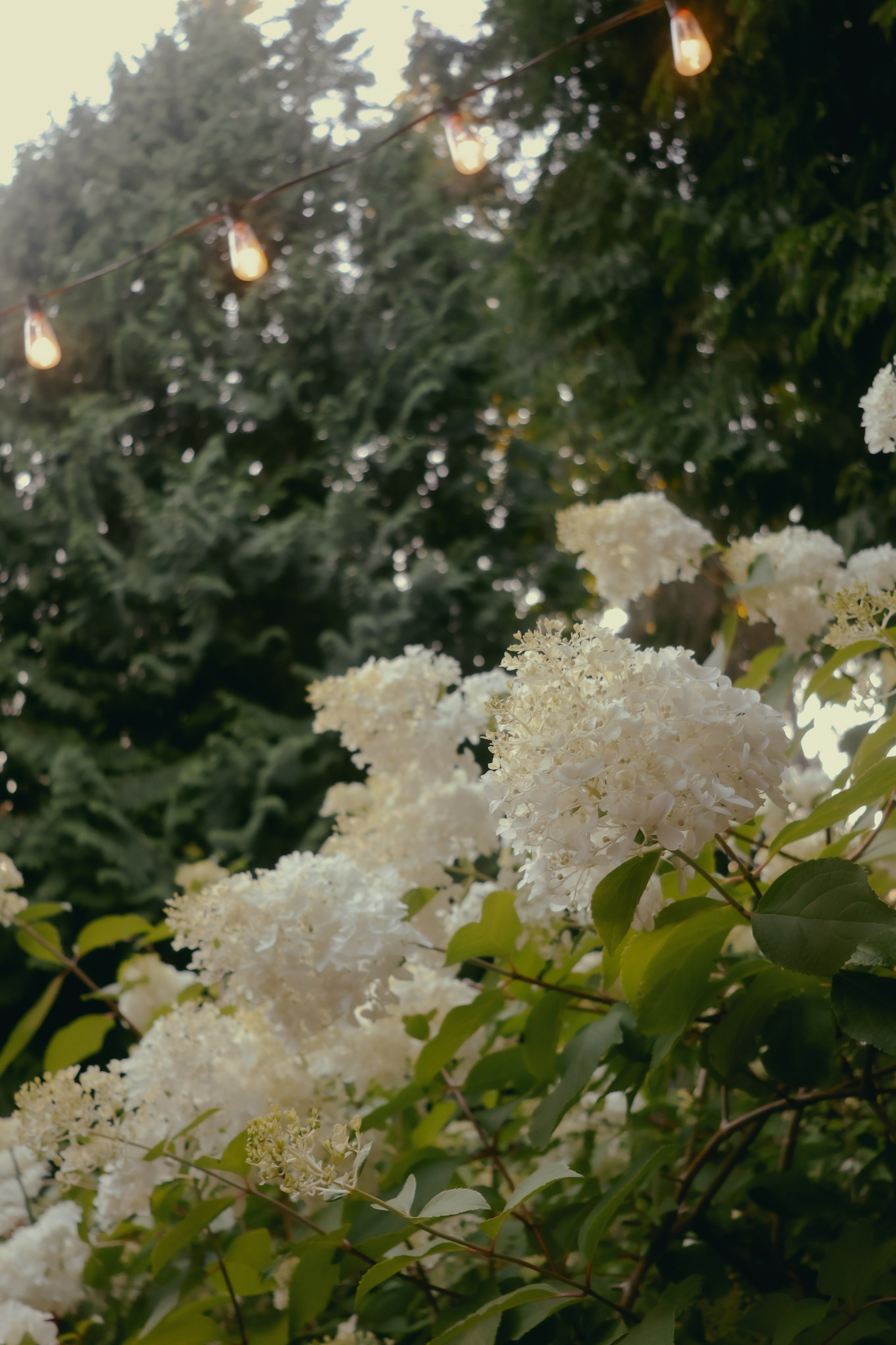 Family time. Yana Bobrova | Artistic Photography
