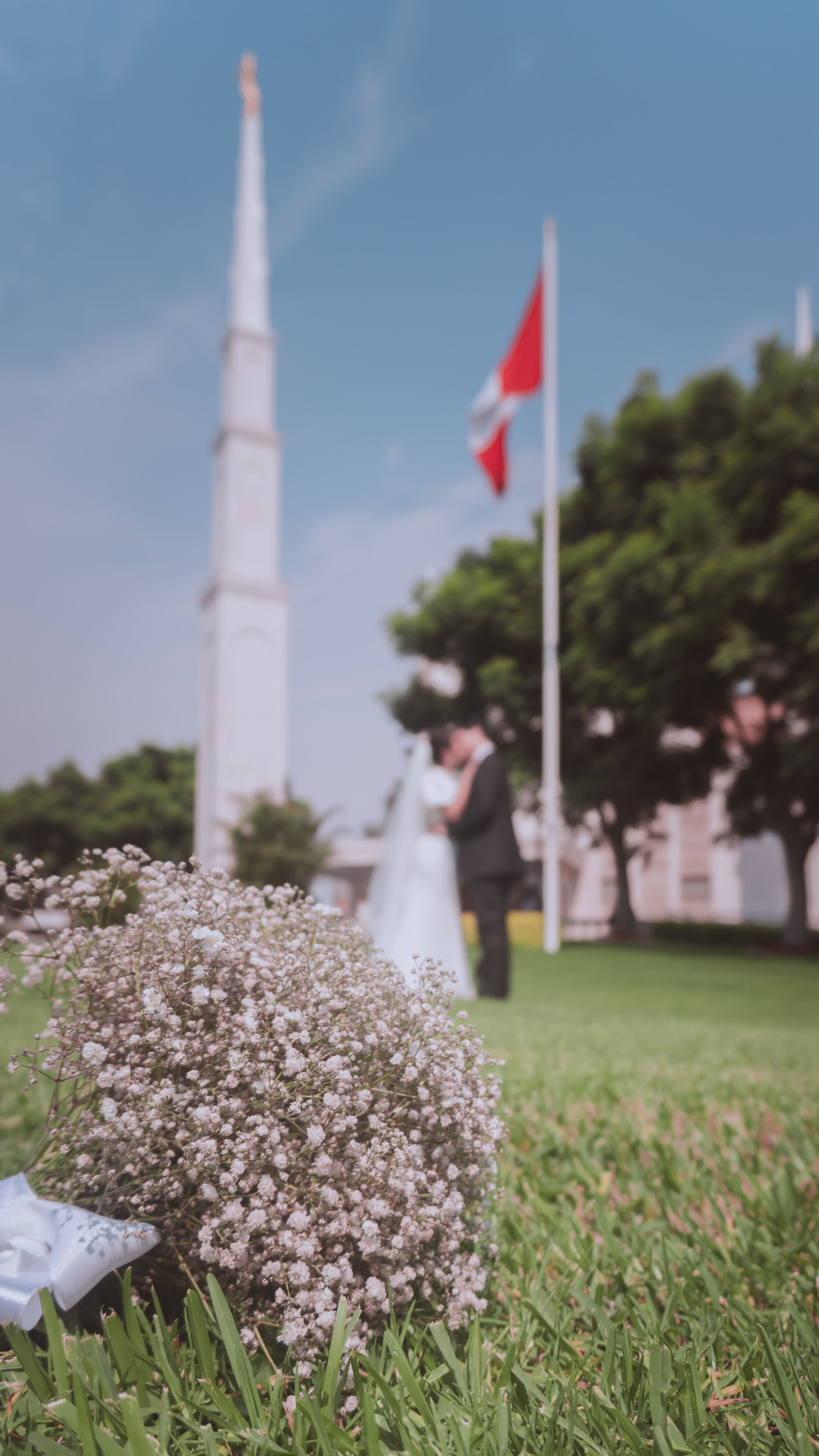 Carlos & Alisson. Fotografo de Bodas