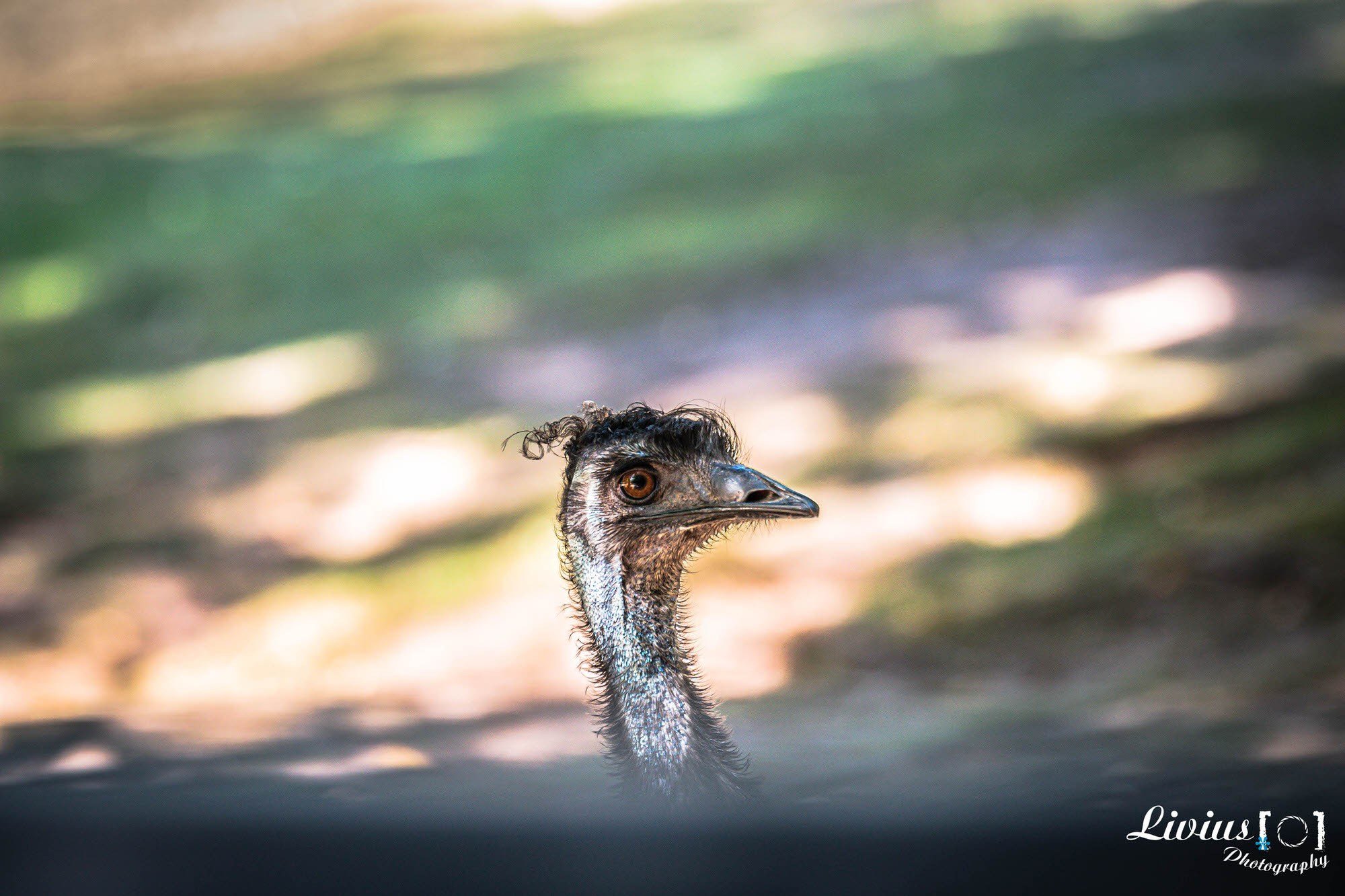 Tierpark Nürnberg. FOTO KREATIV