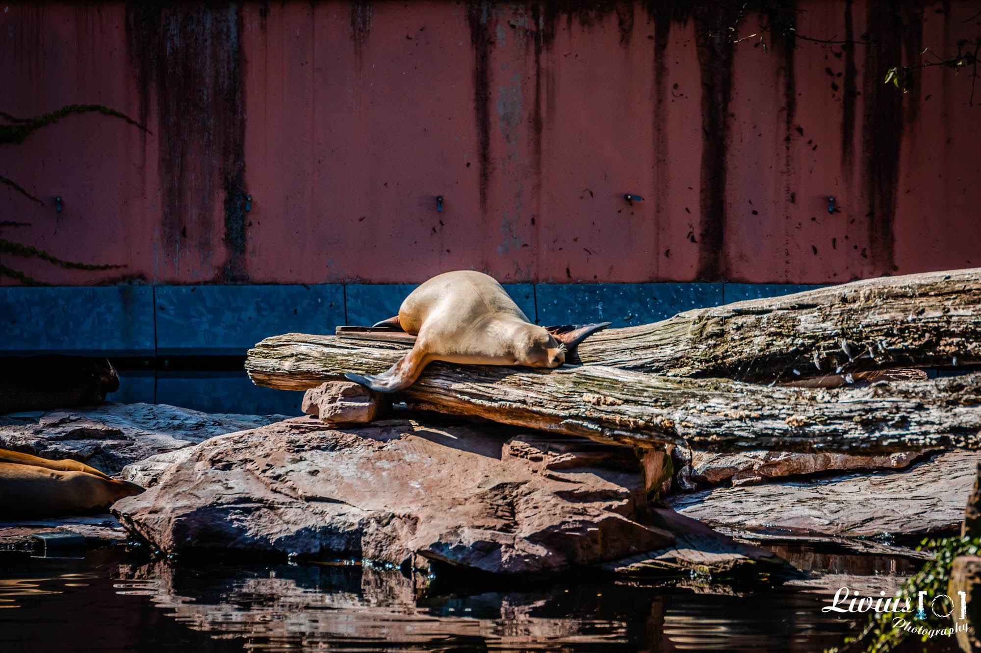 Tierpark Nürnberg. FOTO KREATIV