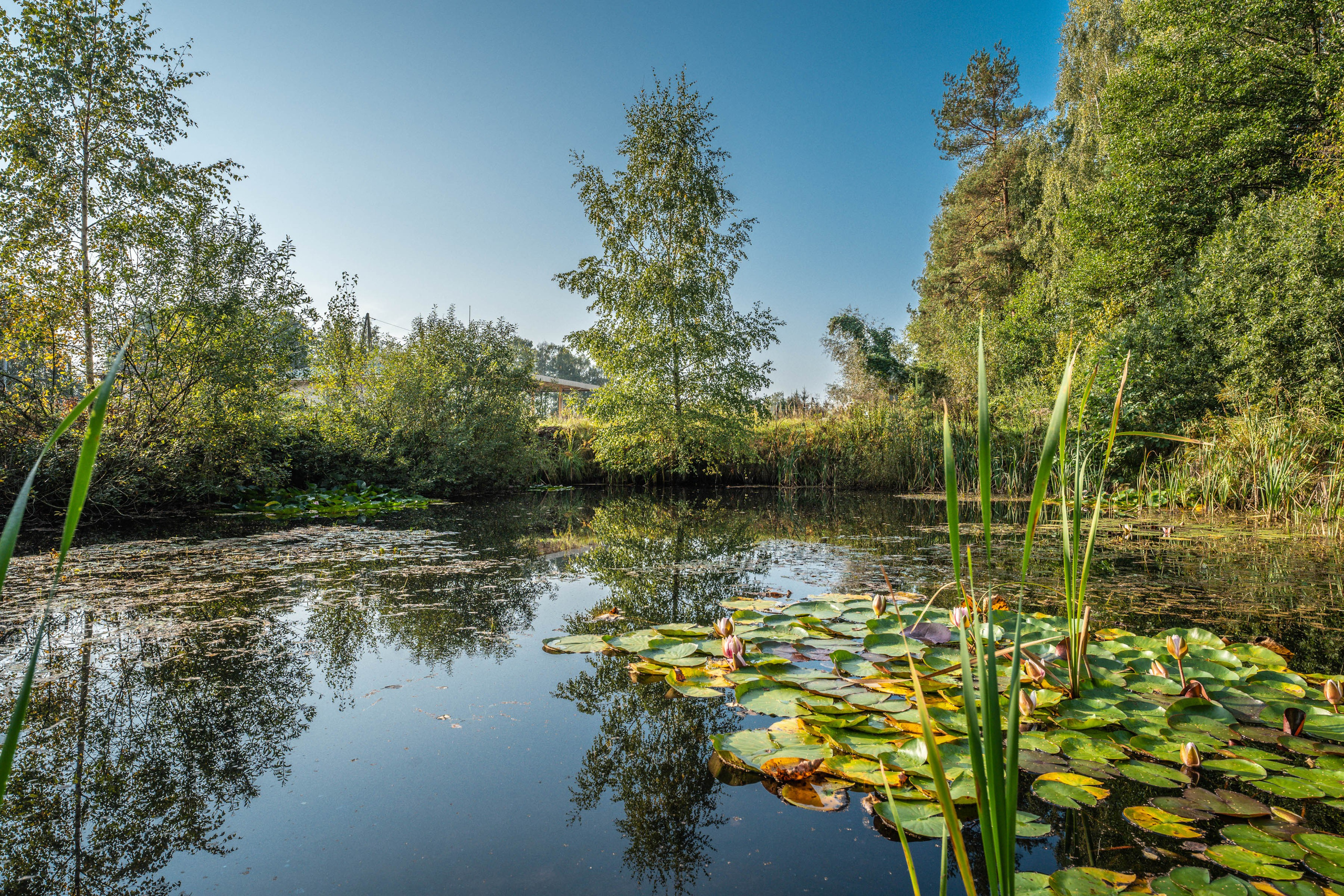📍 Съёмка АЗС в Латвии для продажи