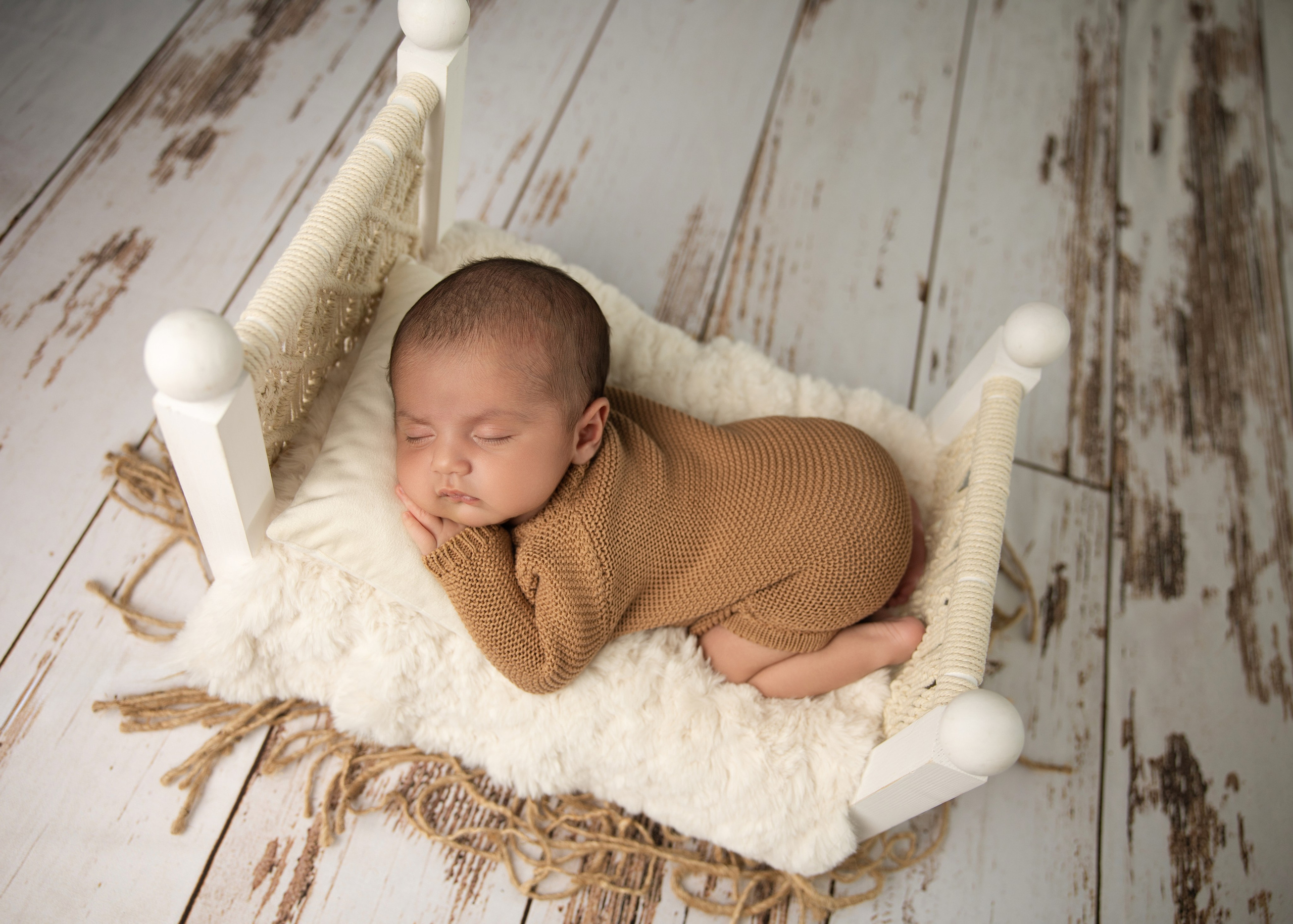 Newborn photos. Newborn photographer in Tampa Bay Area, FL
