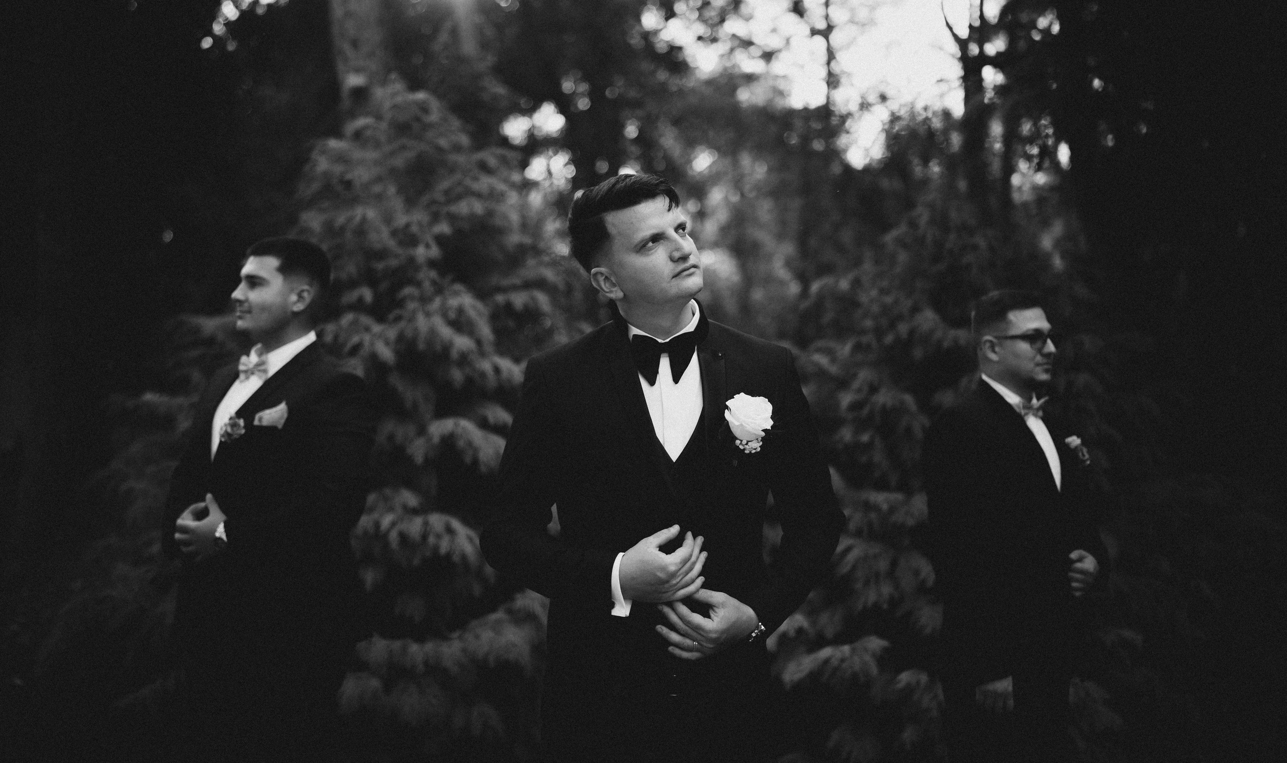 Portofoliu Fotograf Nunta Tulcea — Selectii | Codux. Codux — Fotograf Tulcea | Fotograf Evenimente