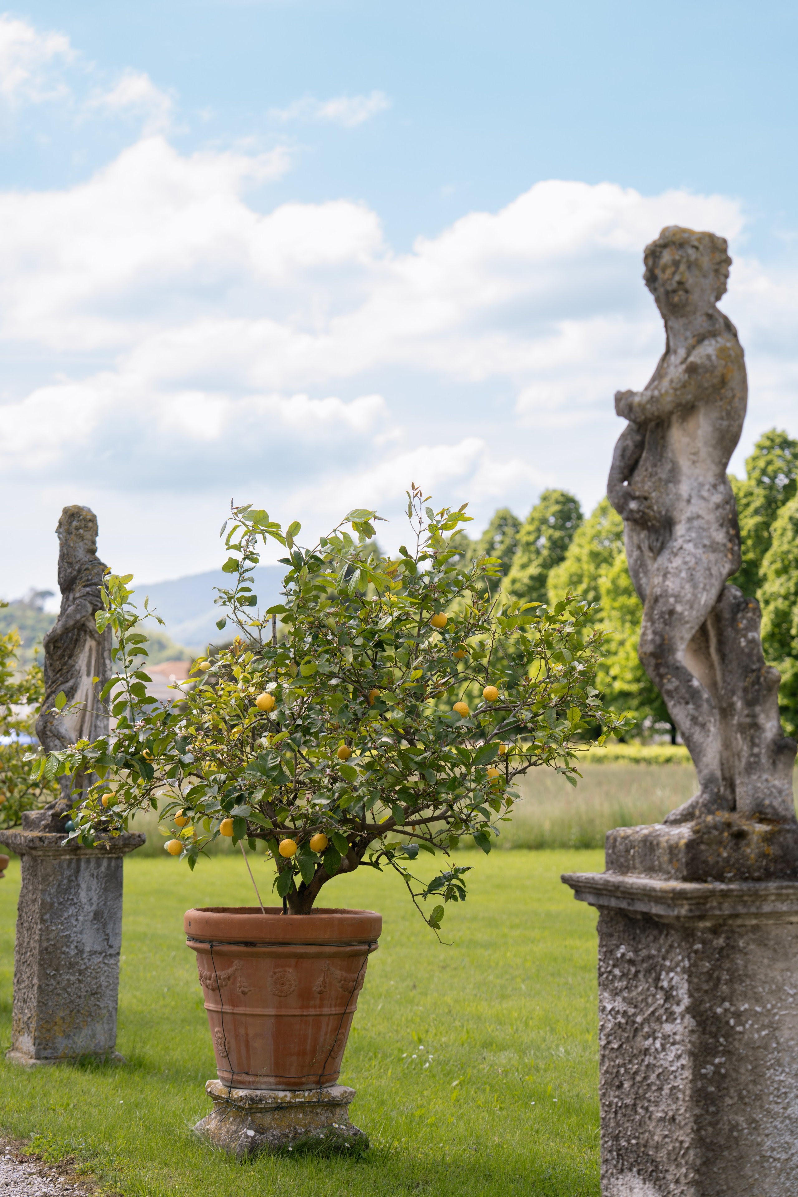 Celebrating Love. Ioana Timis