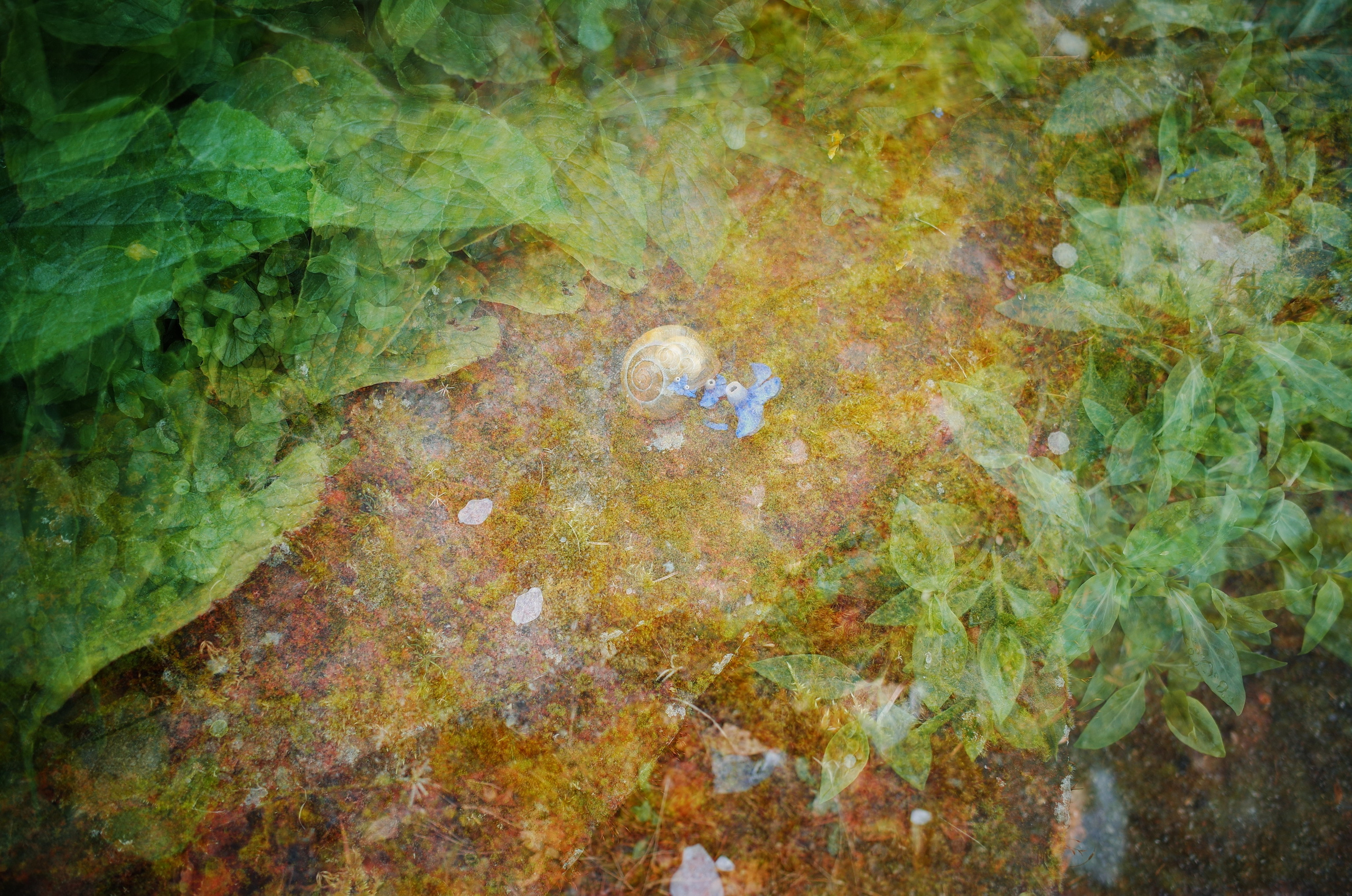 Kingsnorth in Gold. Victoria Dini. Art photography in London / Folkestone, UK