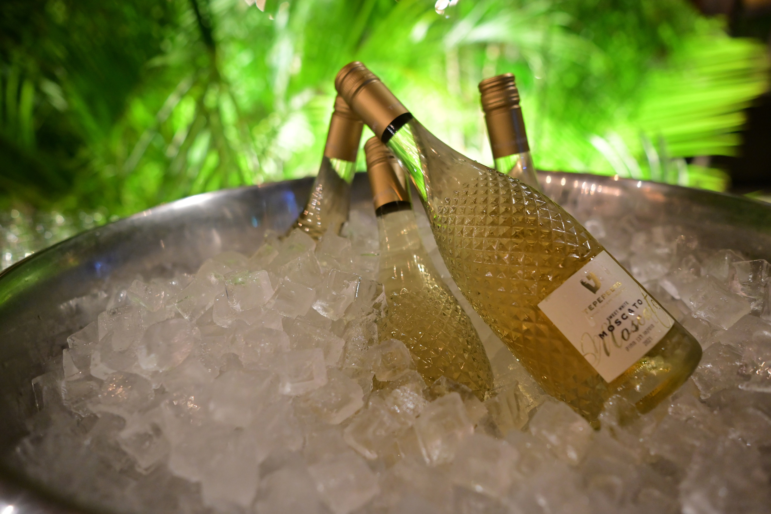 תרין TARIN עיצוב. Wedding and events photographers Studio Shalom