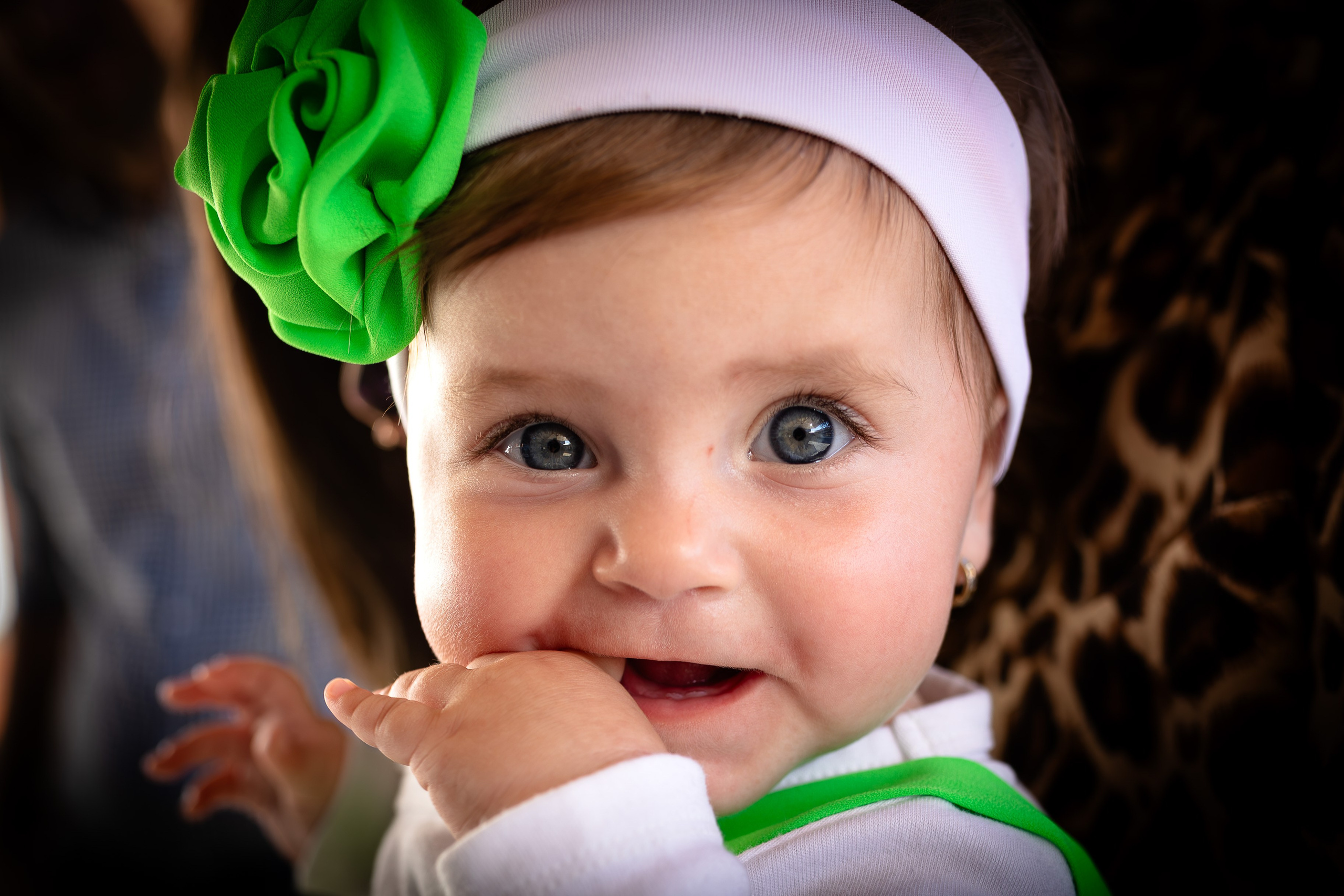 Majorat Ion. Ionut Brehuescu — Fotograf