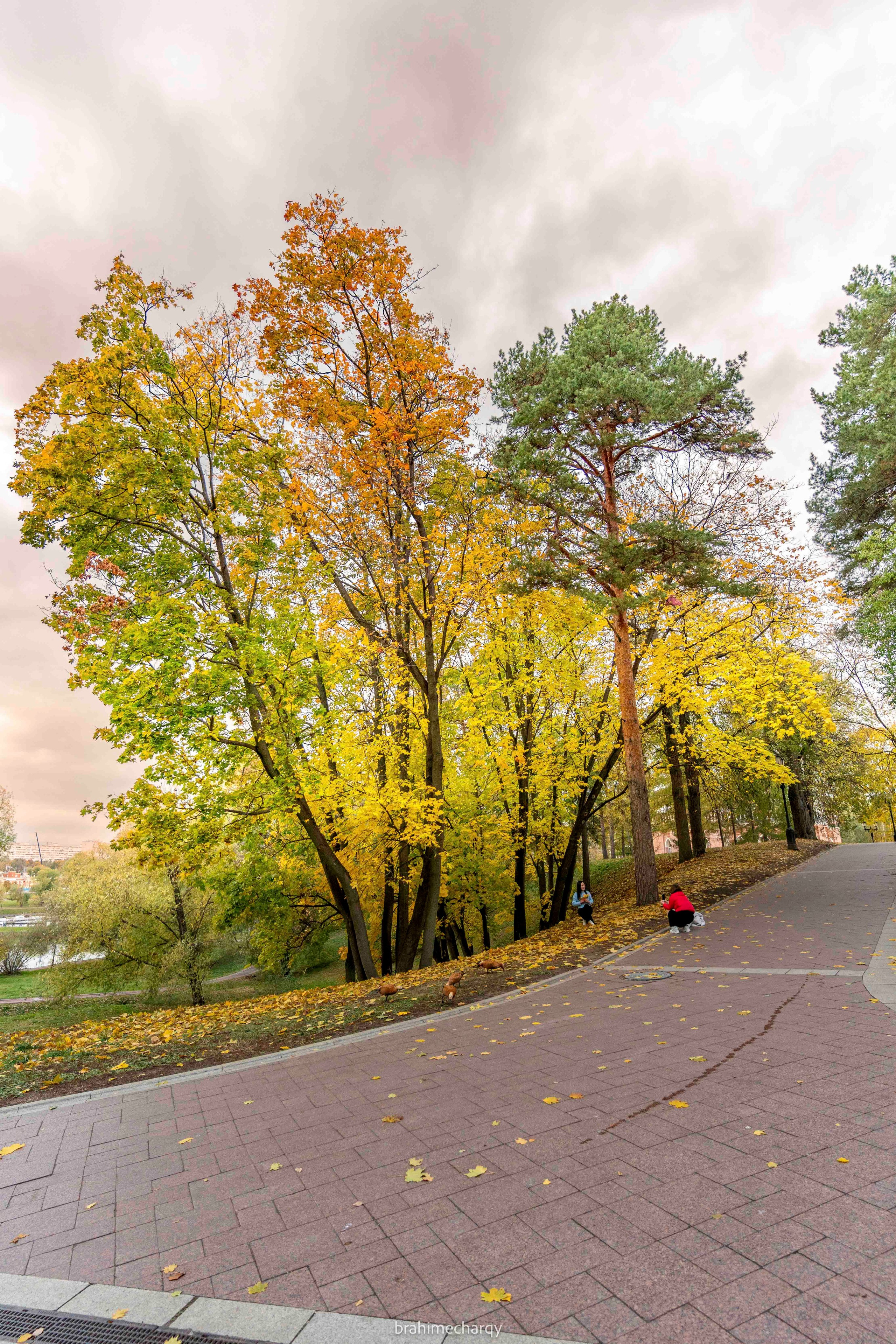 Фото. Брахим — фотограф