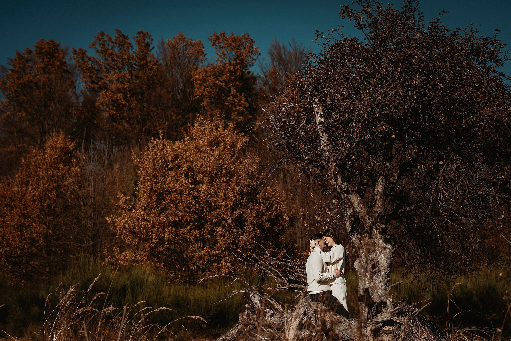 Save the date — A&E. Bogdan Dumitrel — wedding photograher