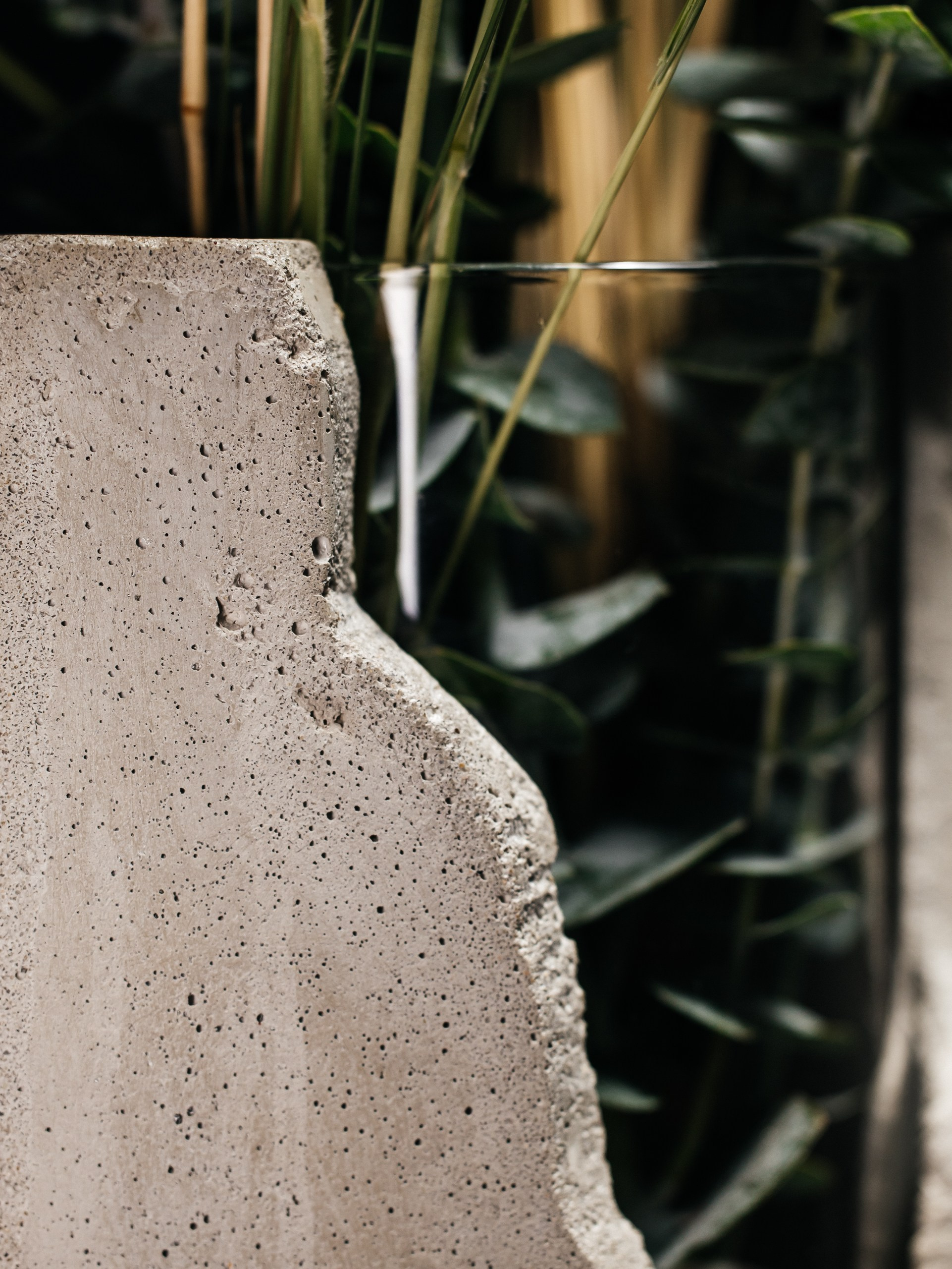 CV.Design. Photographer Andrei White