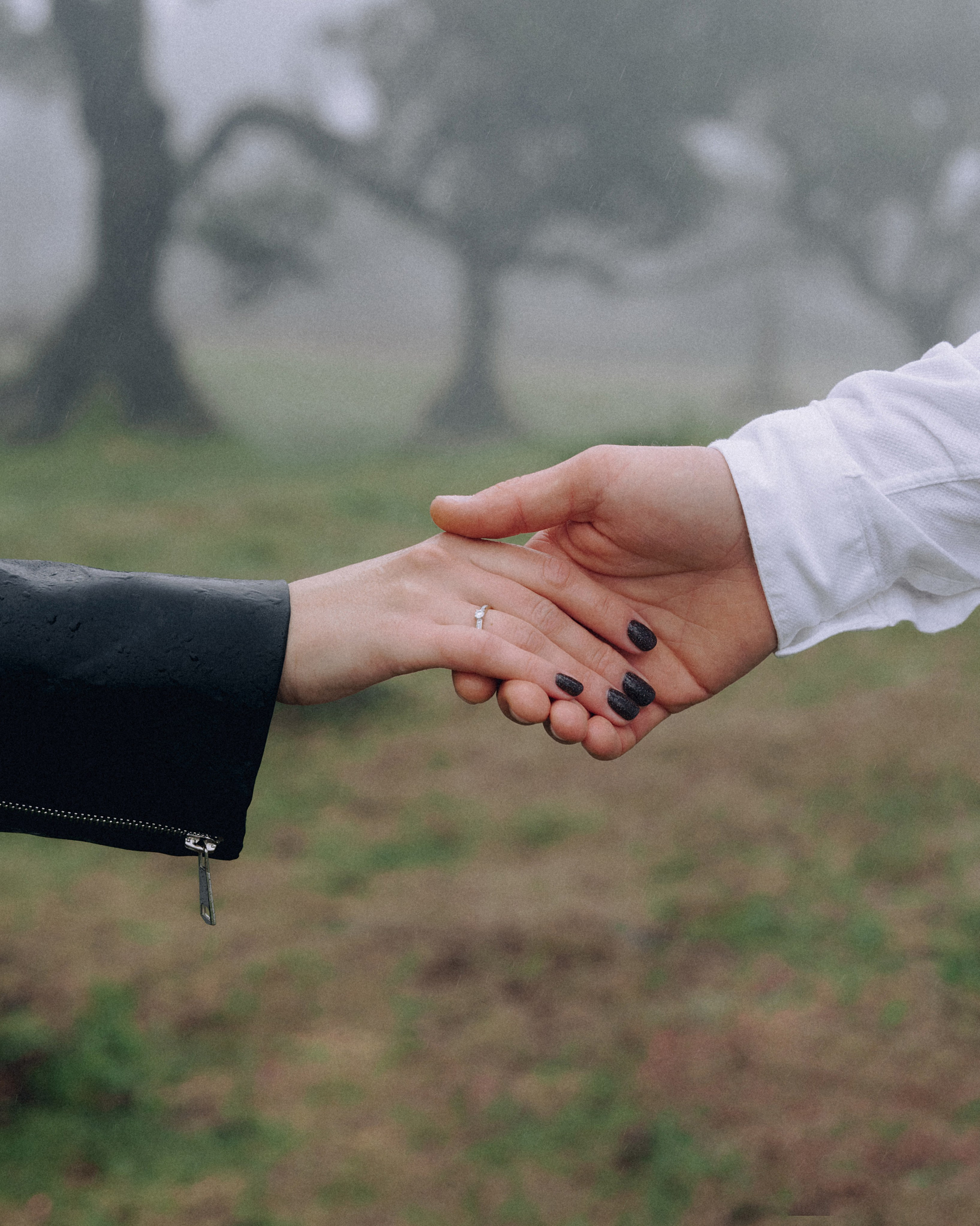 Proposal Photoshoot in Madeira | Stanislav & Katya, Fanal Forest. Your photographer in Madeira