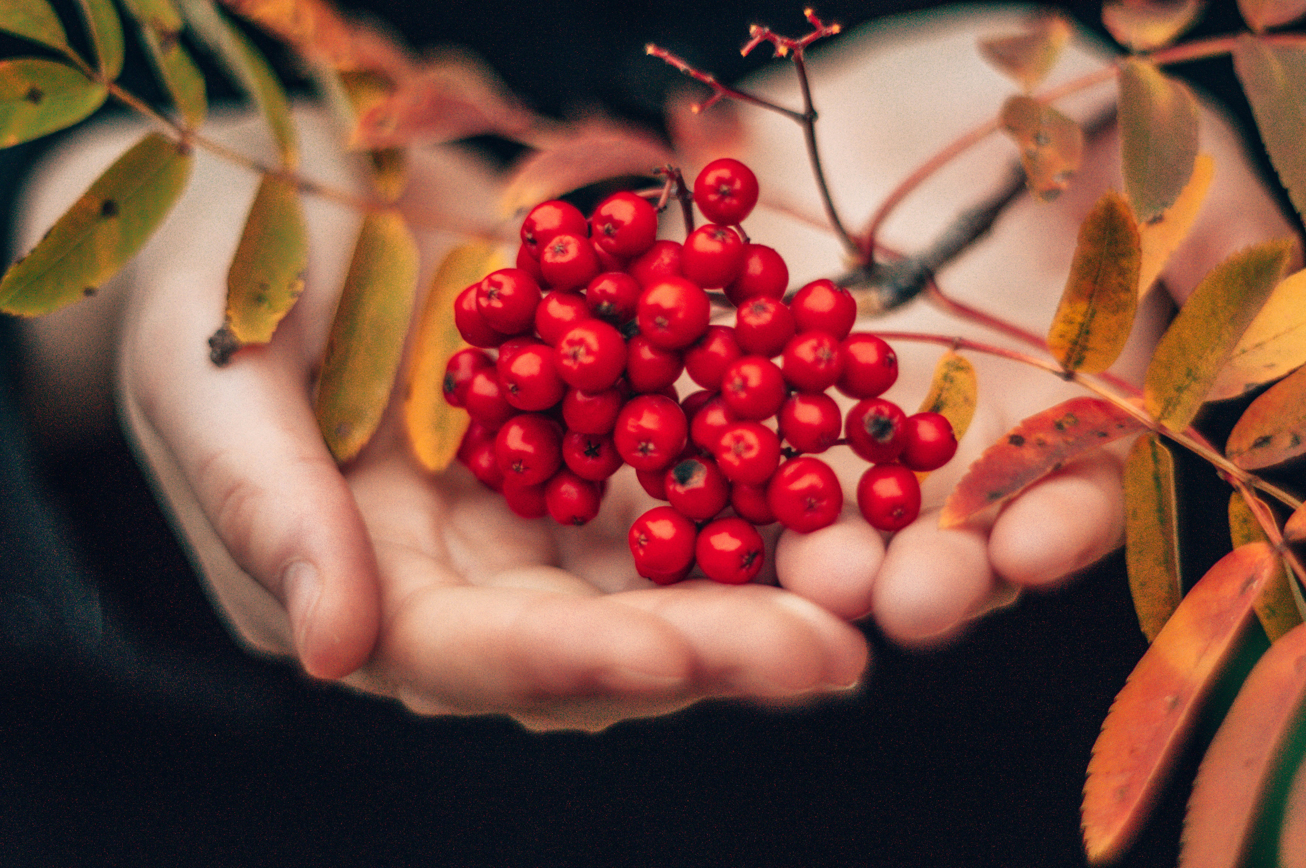 Школа. Анастасия Благова — Твой фотограф в Малаге 🇪🇸