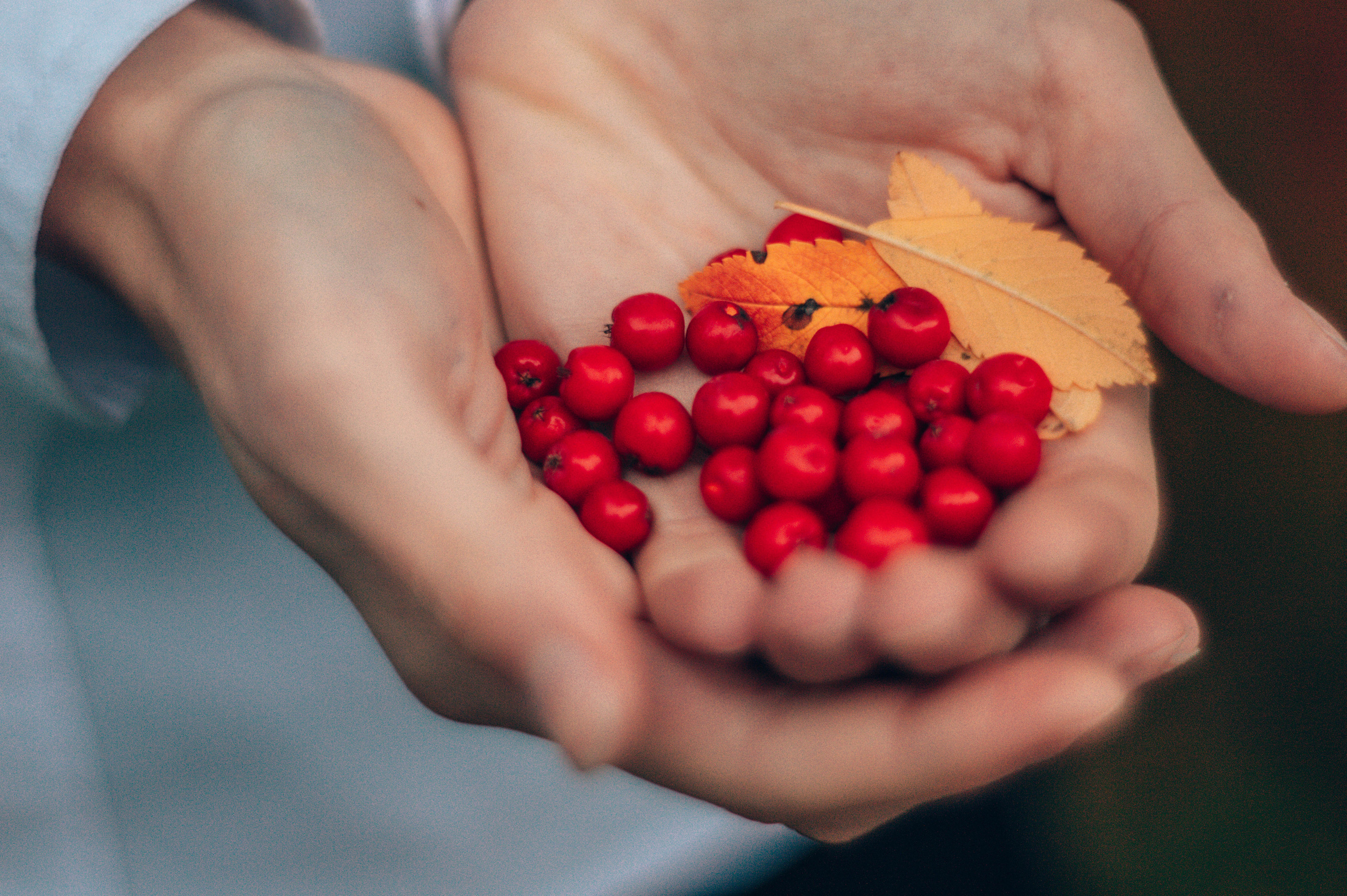 Школа. Анастасия Благова — Твой фотограф в Малаге 🇪🇸