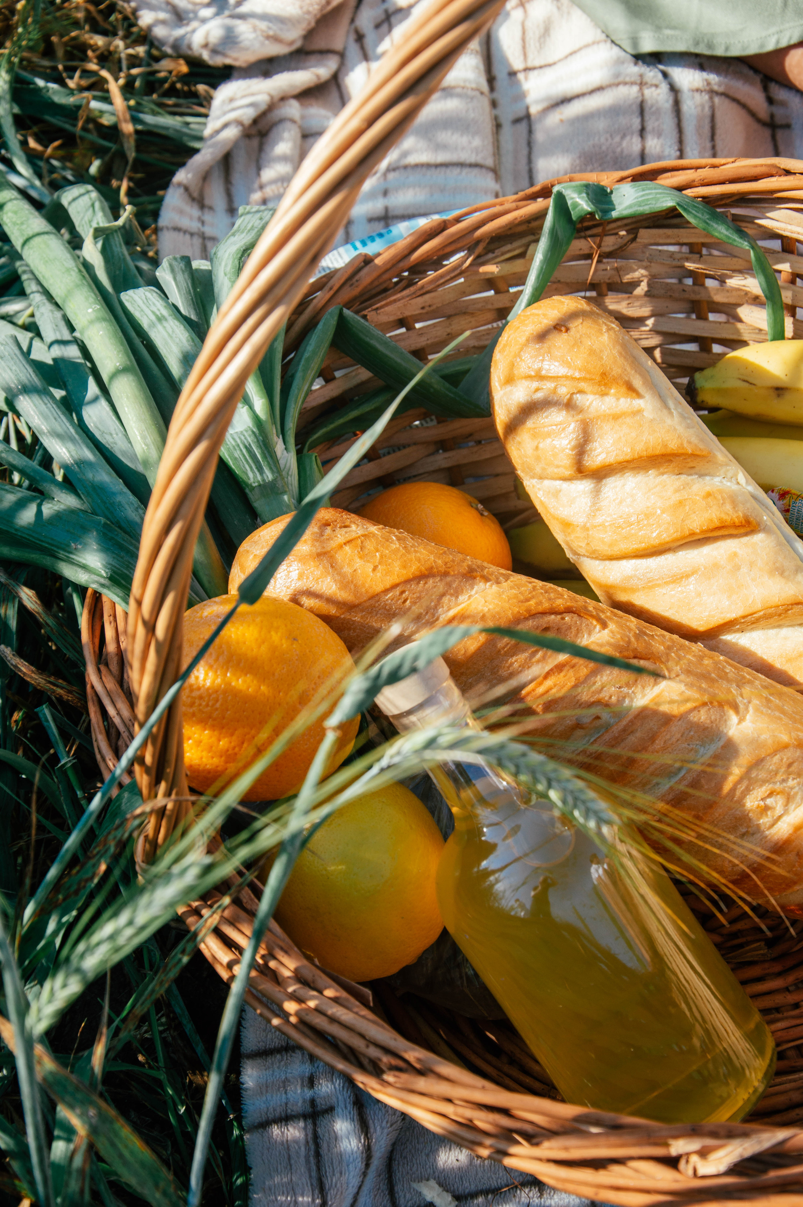 Пикник. Анастасия Благова — Твой фотограф в Малаге 🇪🇸