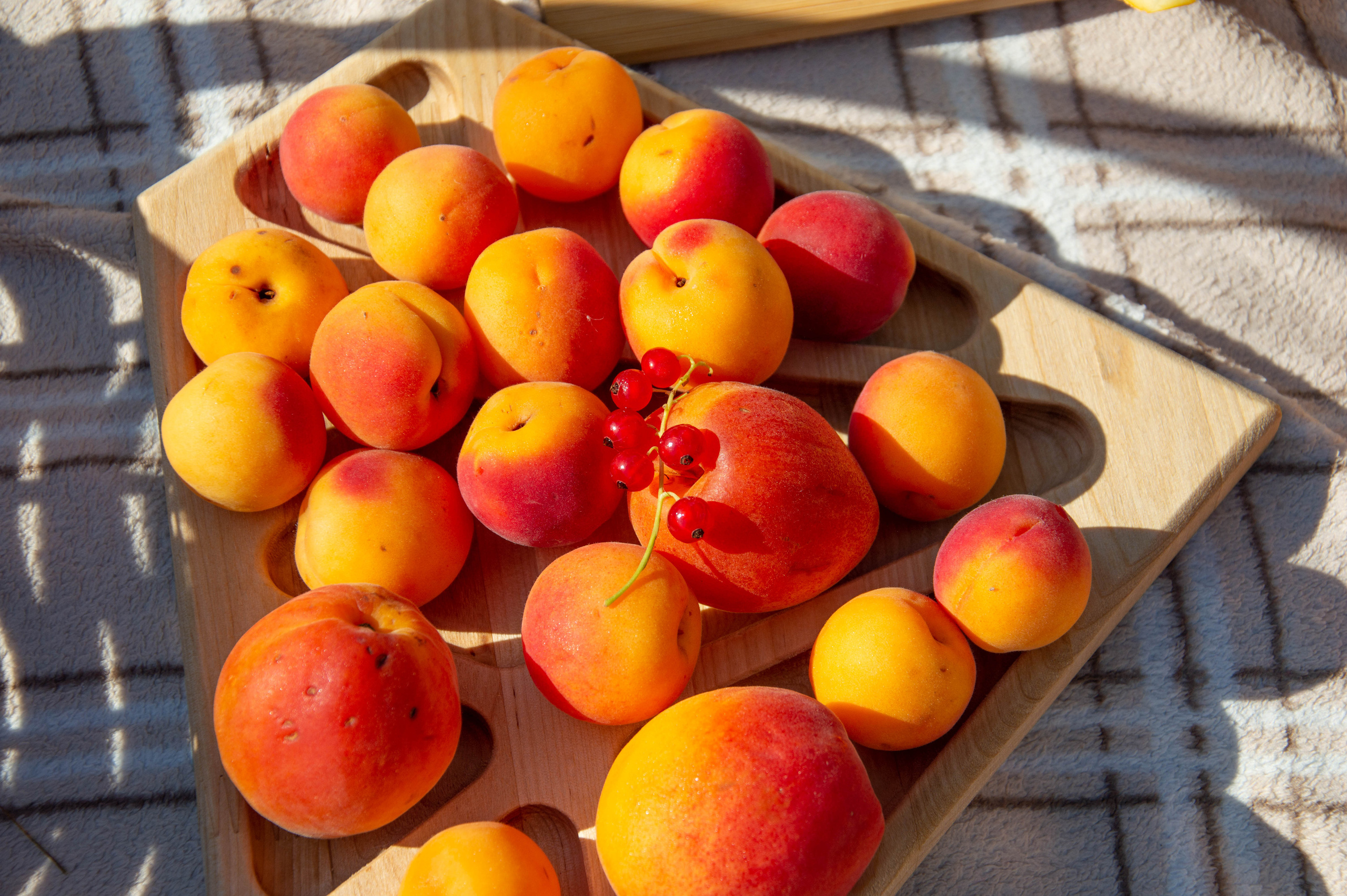 Пикник. Анастасия Благова — Твой фотограф в Малаге 🇪🇸