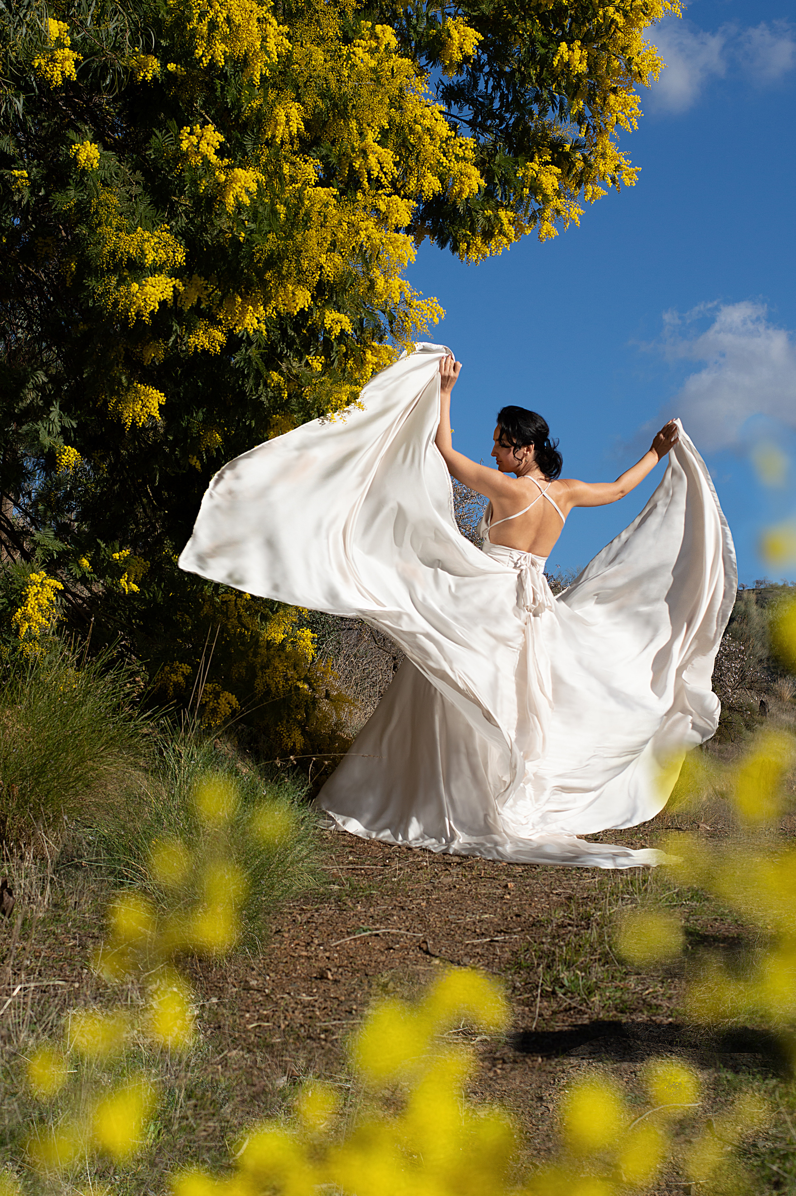 Цветение мидаля. Анастасия Благова — Твой фотограф в Малаге 🇪🇸