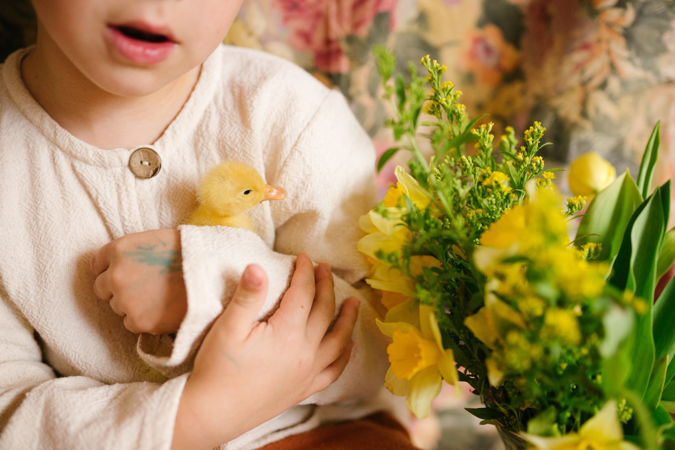 Ședințe Foto de Paște Brașov: Gălbenuș | Mădălina Beda. Madalina Beda- Artist vizual, fotograf, doula la nastere, consultant babywearing Brasov si in toata tara