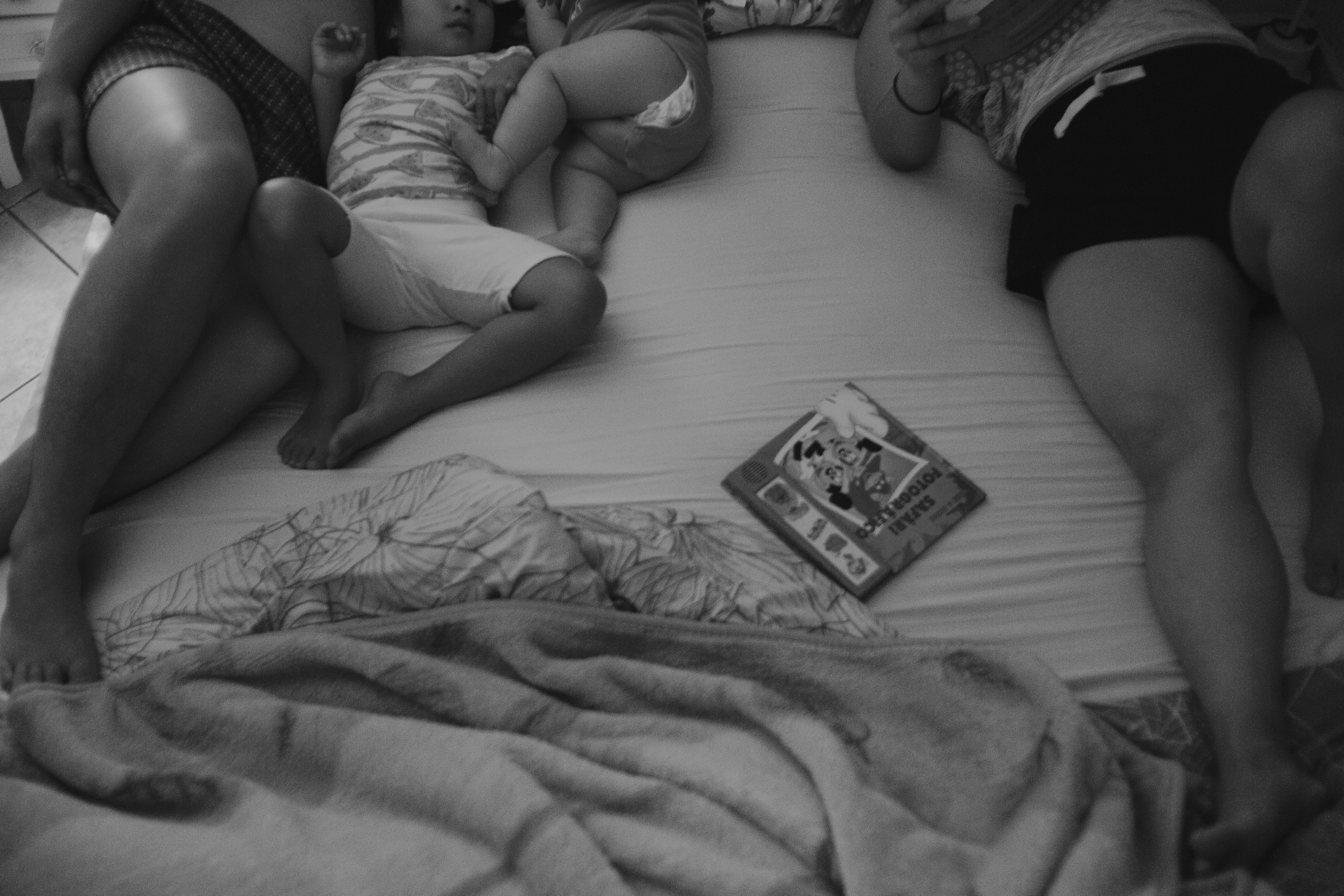 Documental Família Shimizu