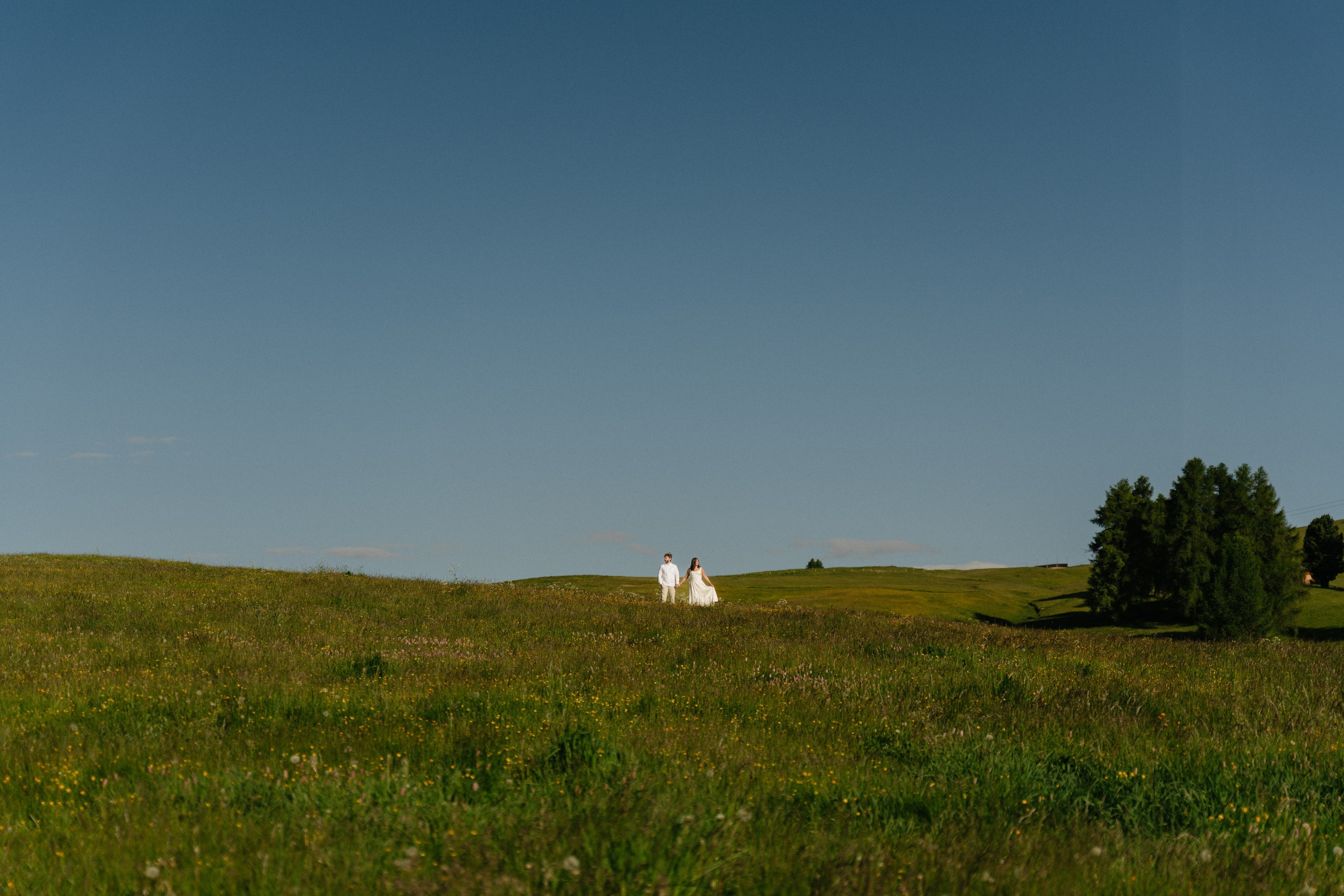 E & J (Alpe di Siusi, Dolomites, Italy). Marriage Proposal Photographer in Verona, Lake Garda and Dolomites| Diana Fedrigo