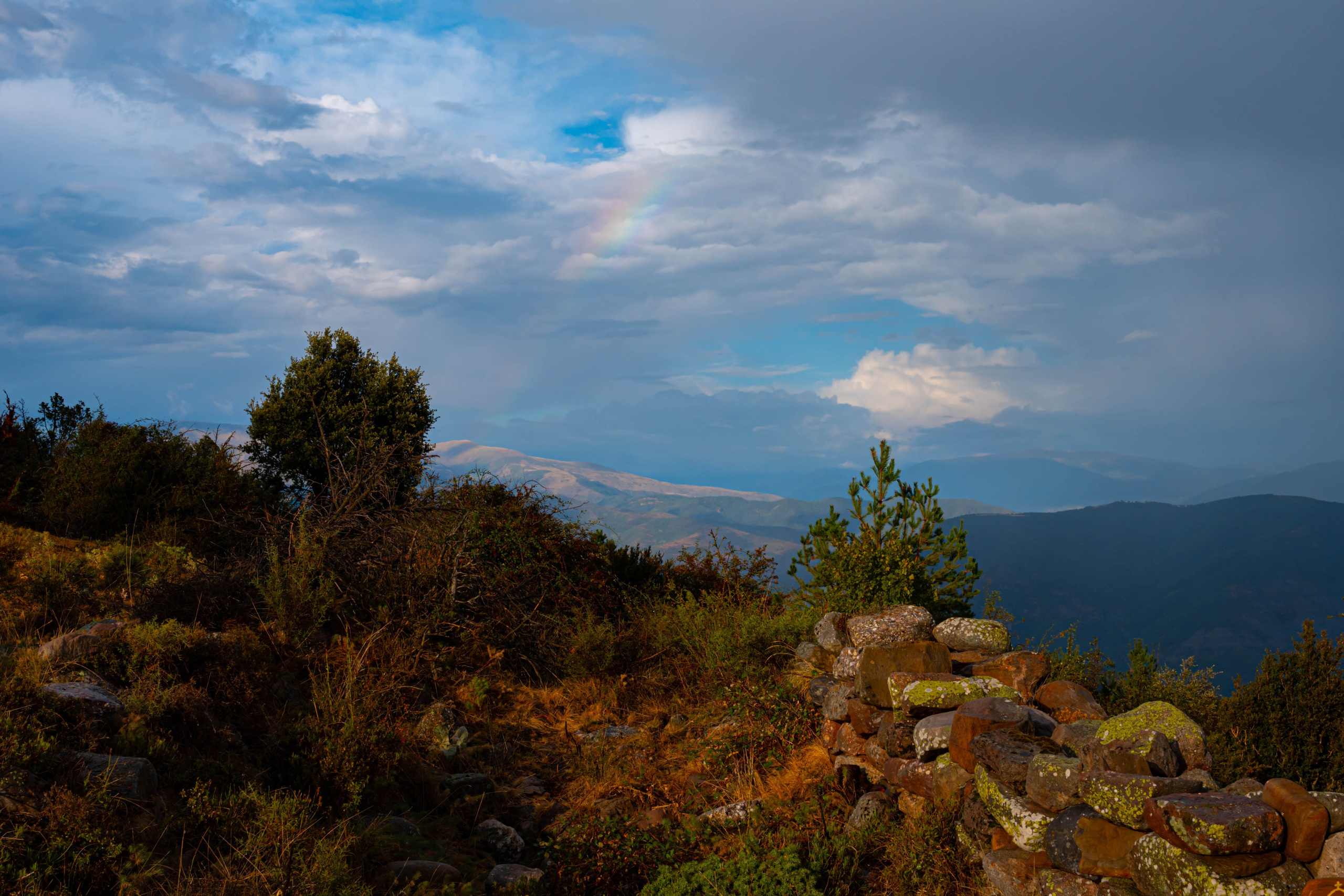 Lila. Alba del Norte Studio