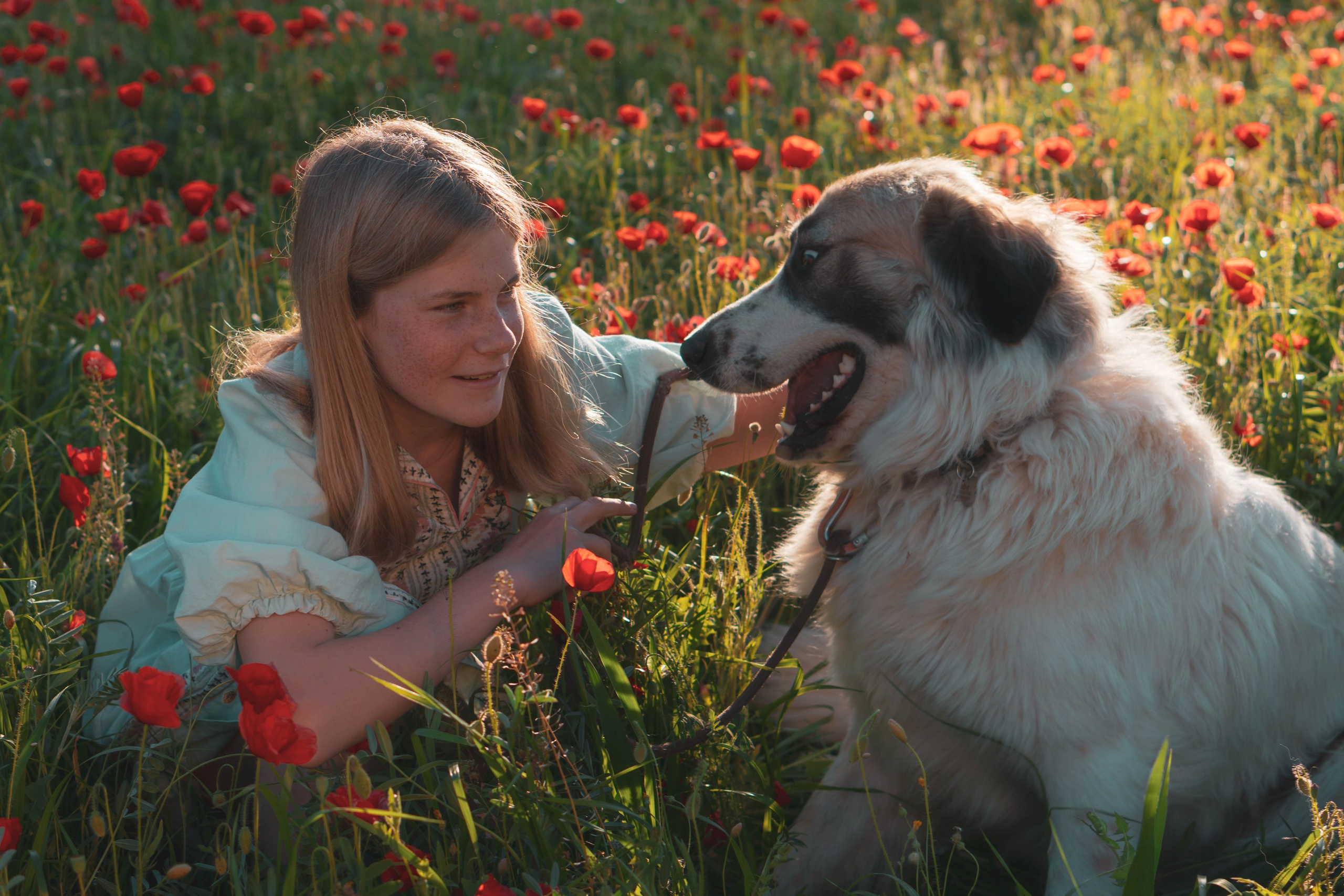 Agnia & Amapolas. Alba del Norte Studio