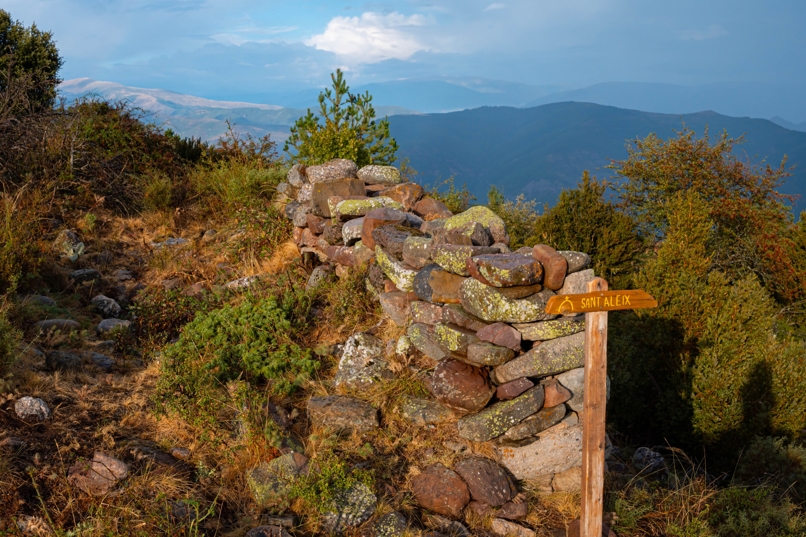 Lila. Alba del Norte Studio