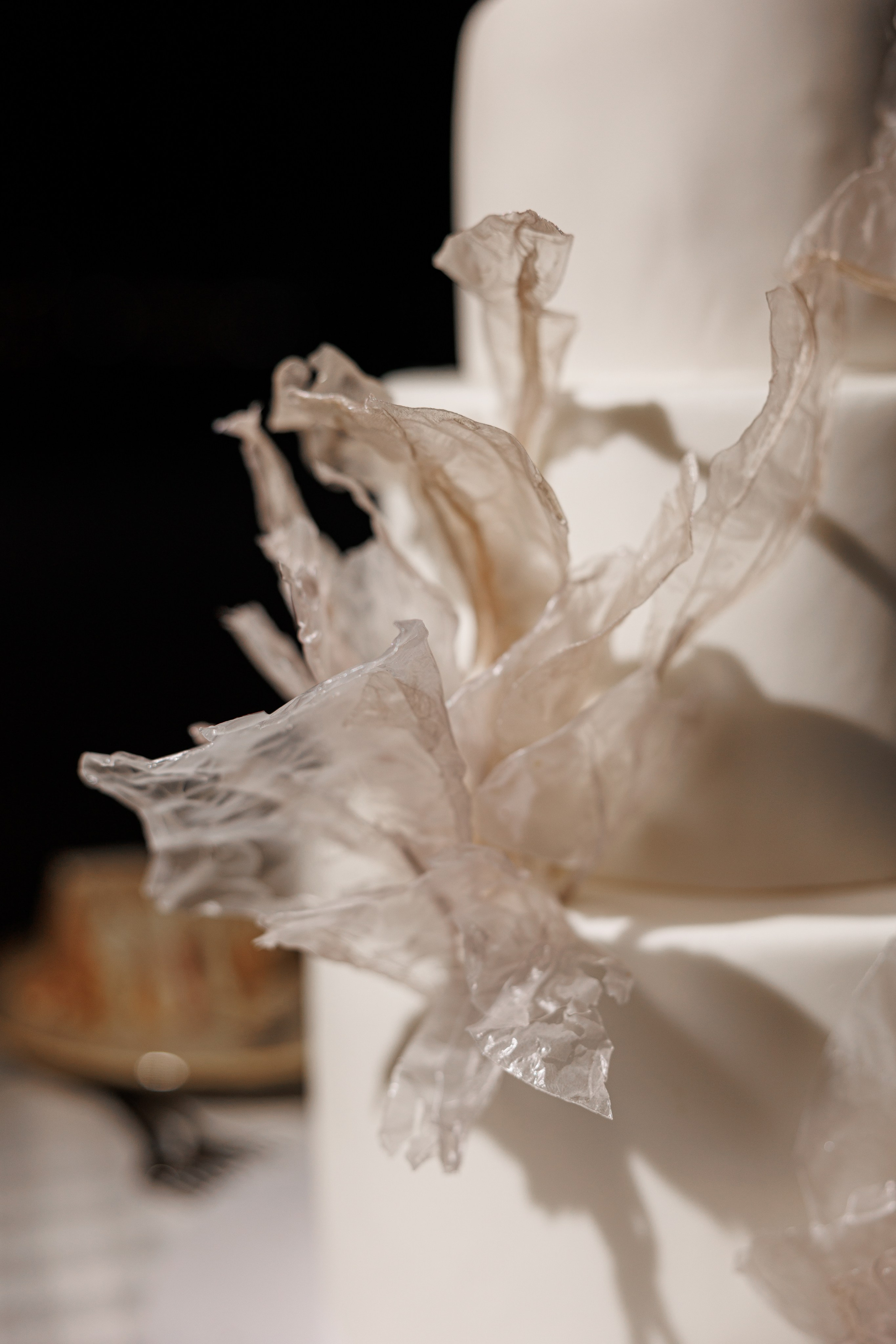 Bulgaria - Alexandru & Lolita. Фото & Видео услуги📸