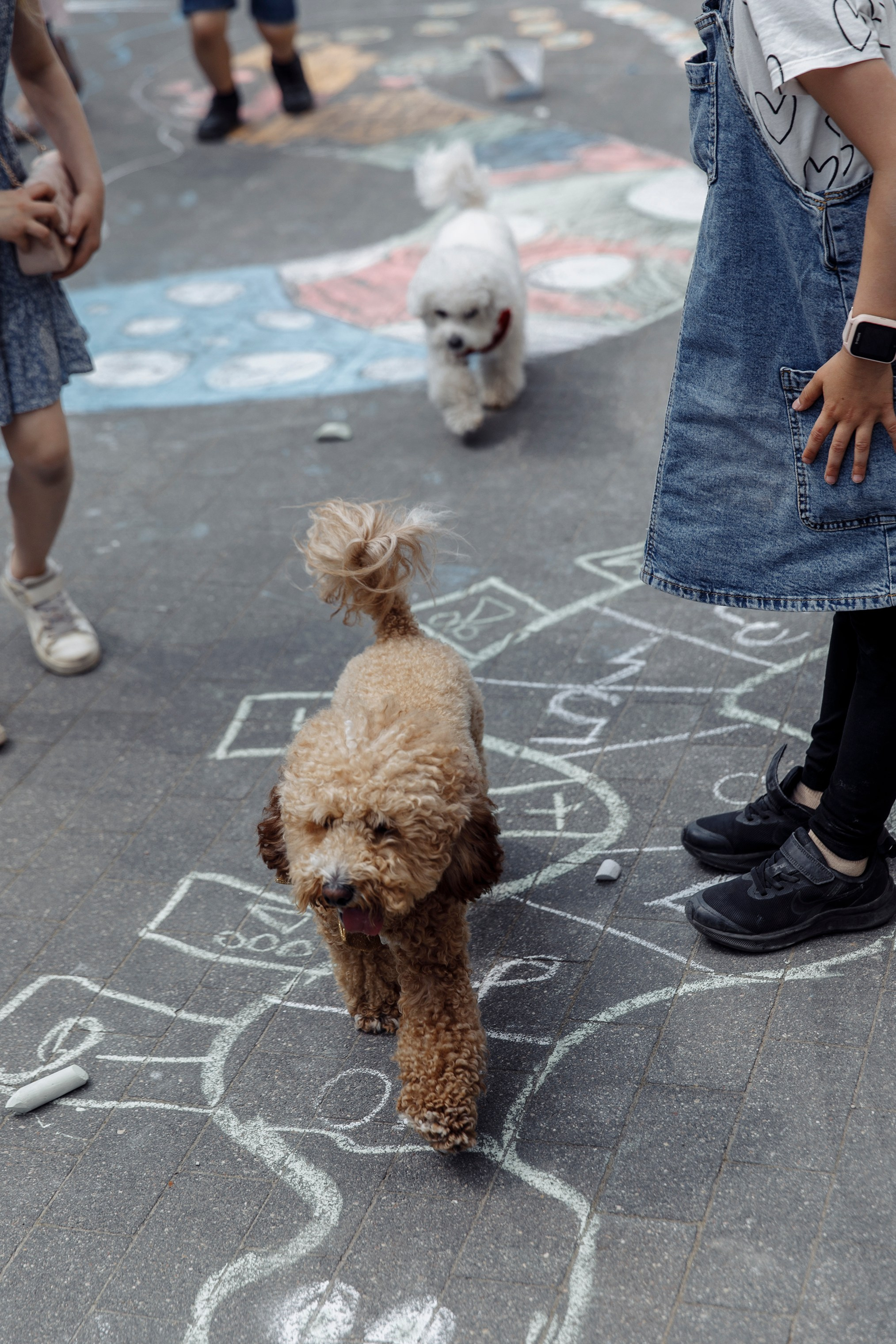 Viss būs art Izstāde/Svetlana Čertkova. Sandra Garanca Portrait and event photographer