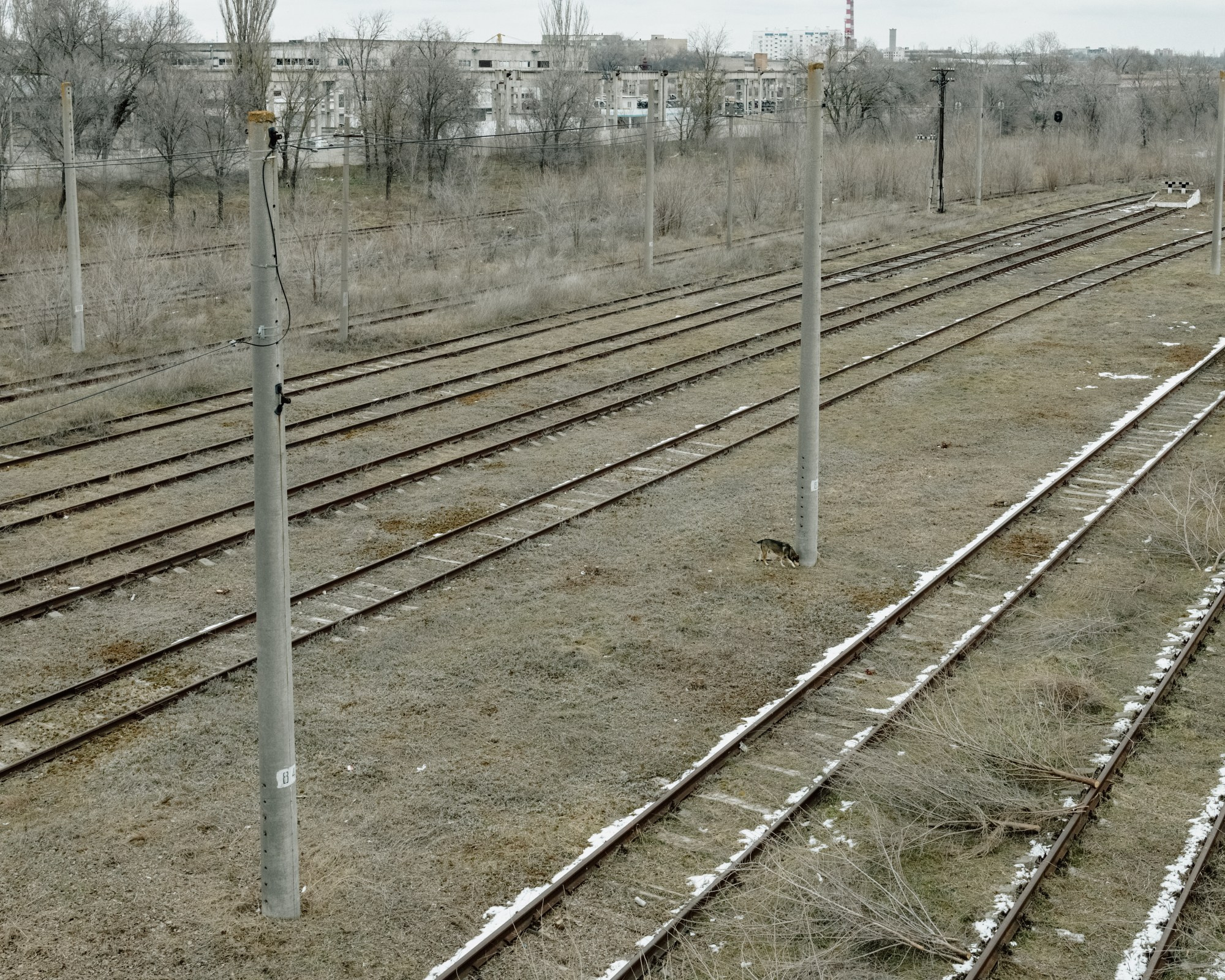 Empty railways near Tiraspol’s main train station. Trains once ran frequently from Tiraspol to Odessa, Ukraine, but services were halted due to the Russia-Ukraine war that began in 2022. 