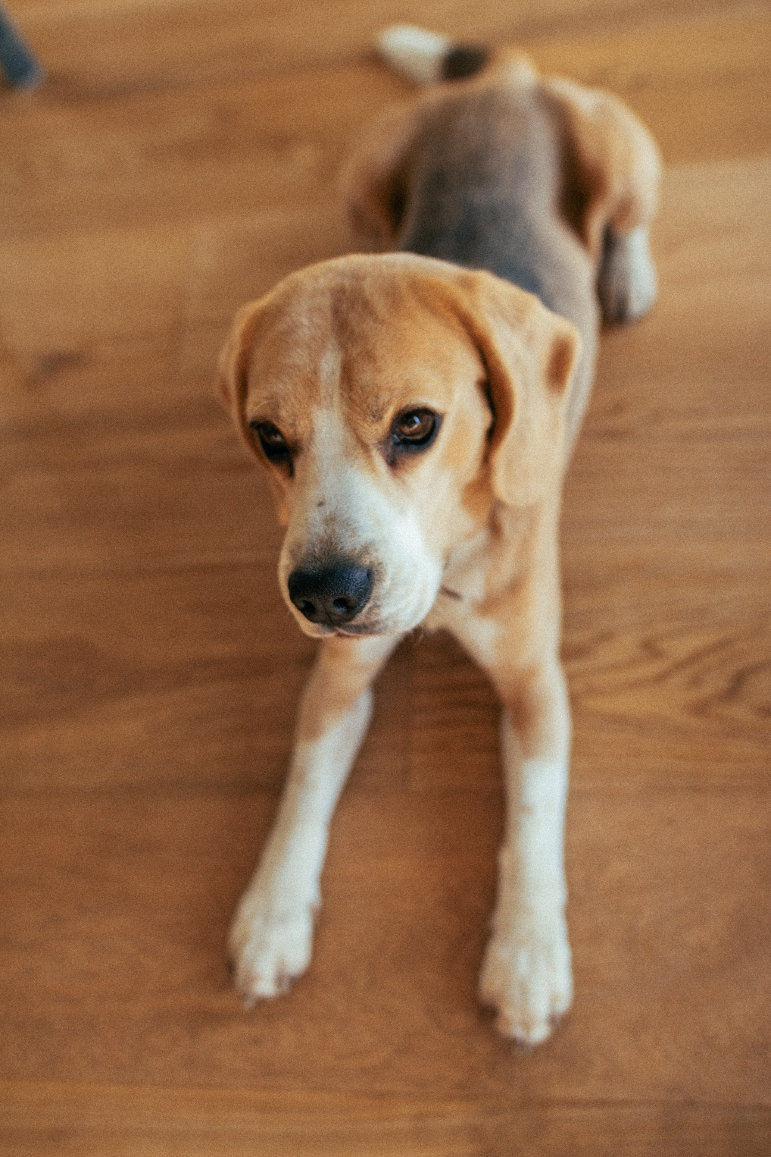 Никита и Кетрин. Главная