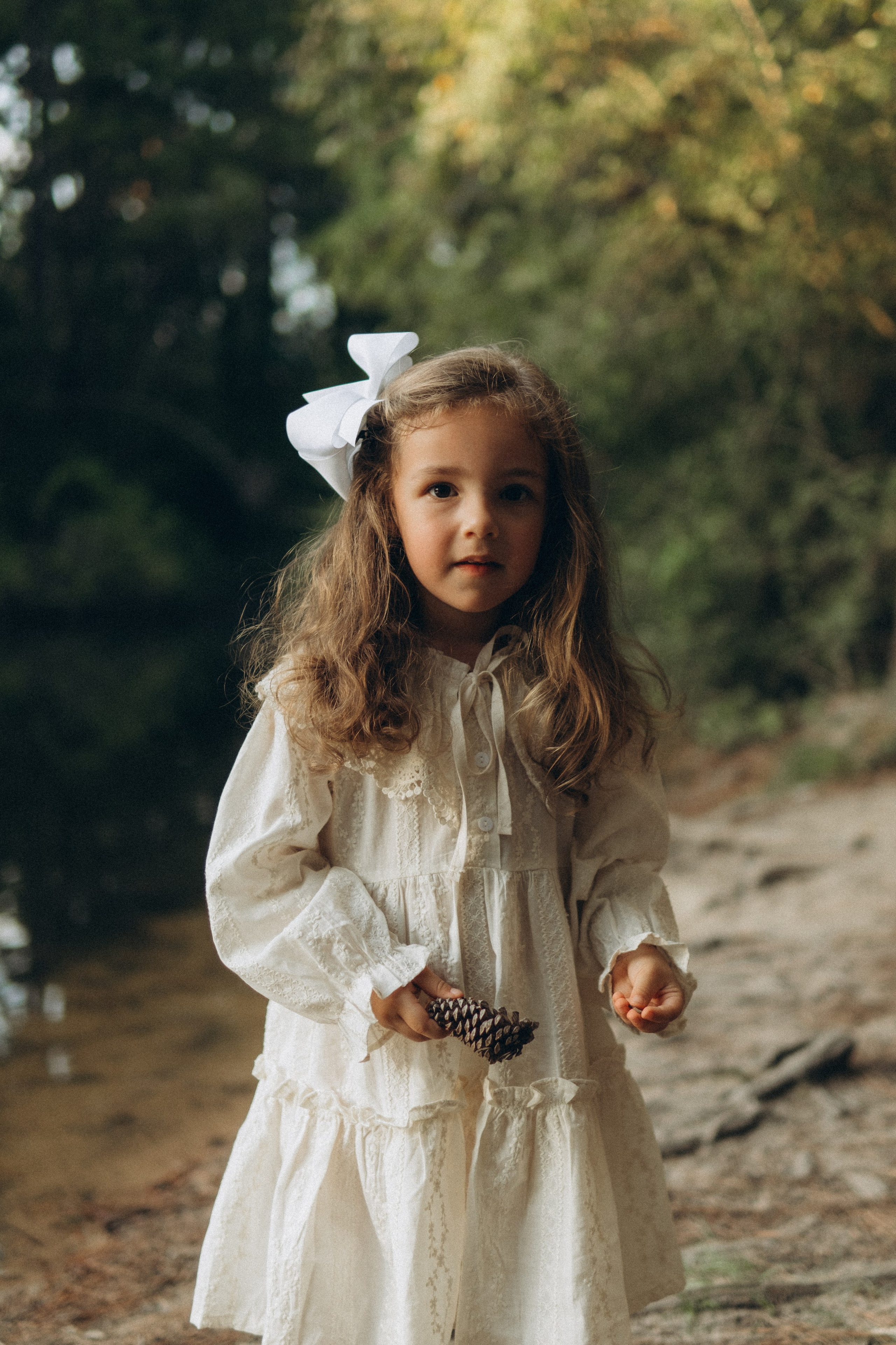 The Woodlands. Lens Captures Life