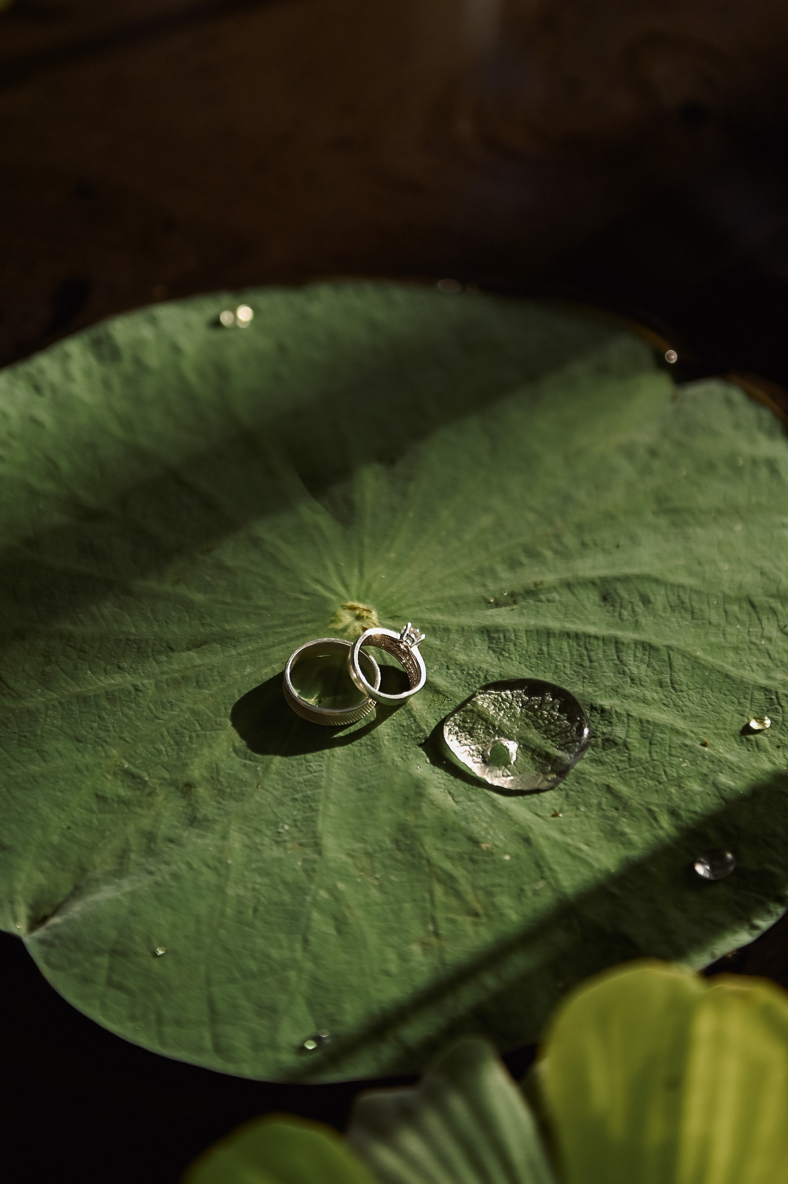 Роспись в Хельсинки. Детский и семейный фотограф в финляндии дина пулкка. контент фотограф