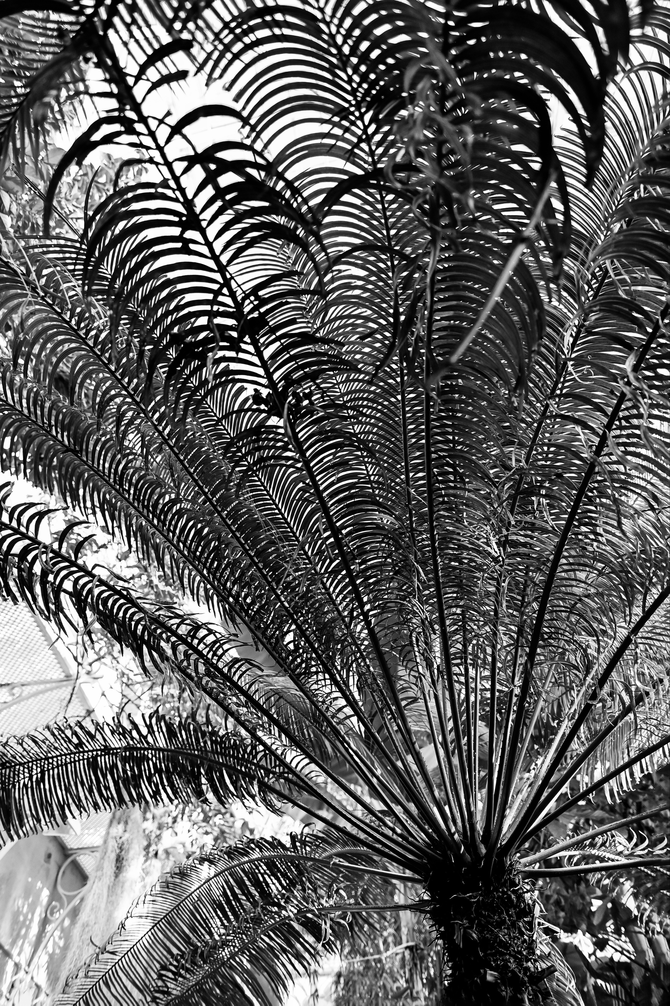 Роспись в Хельсинки. Детский и семейный фотограф в финляндии дина пулкка. контент фотограф