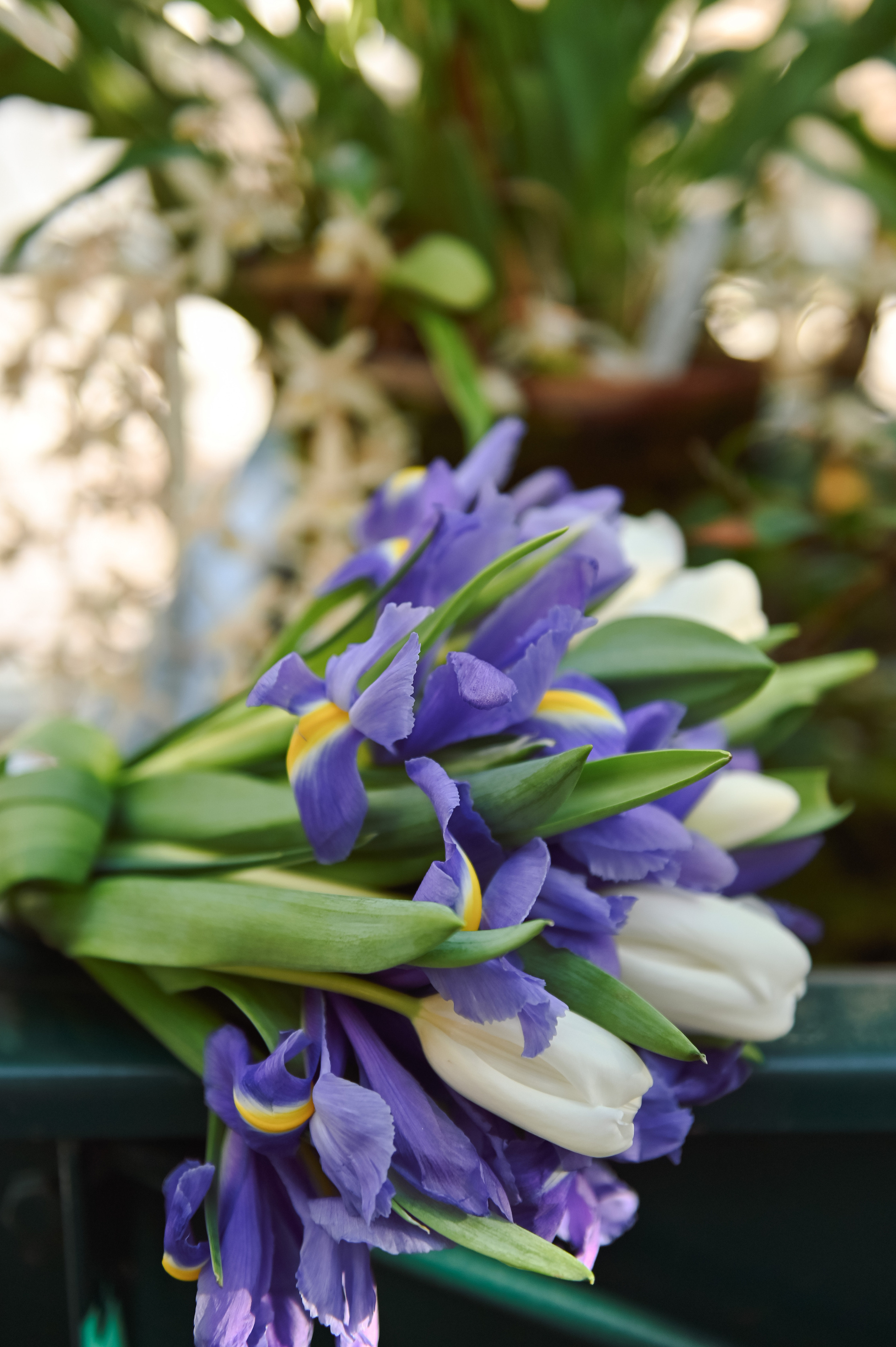 Роспись в Хельсинки. Детский и семейный фотограф в финляндии дина пулкка. контент фотограф