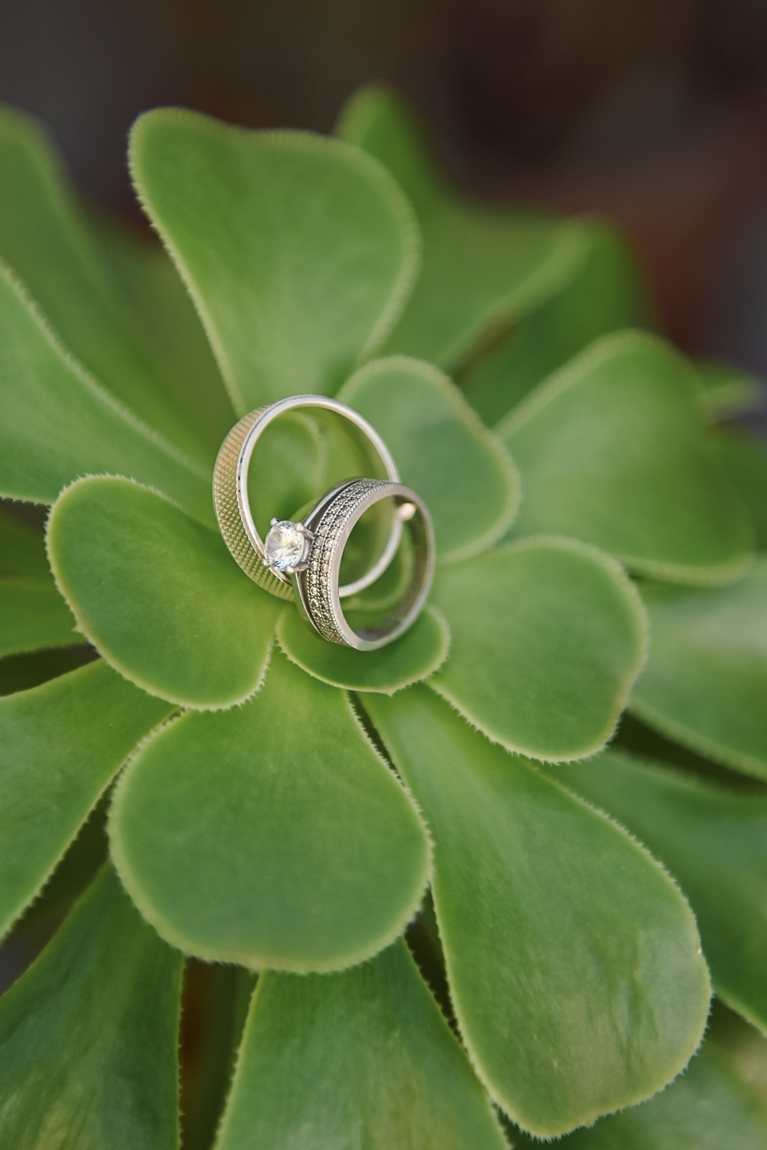 Роспись в Хельсинки. Детский и семейный фотограф в финляндии дина пулкка. контент фотограф