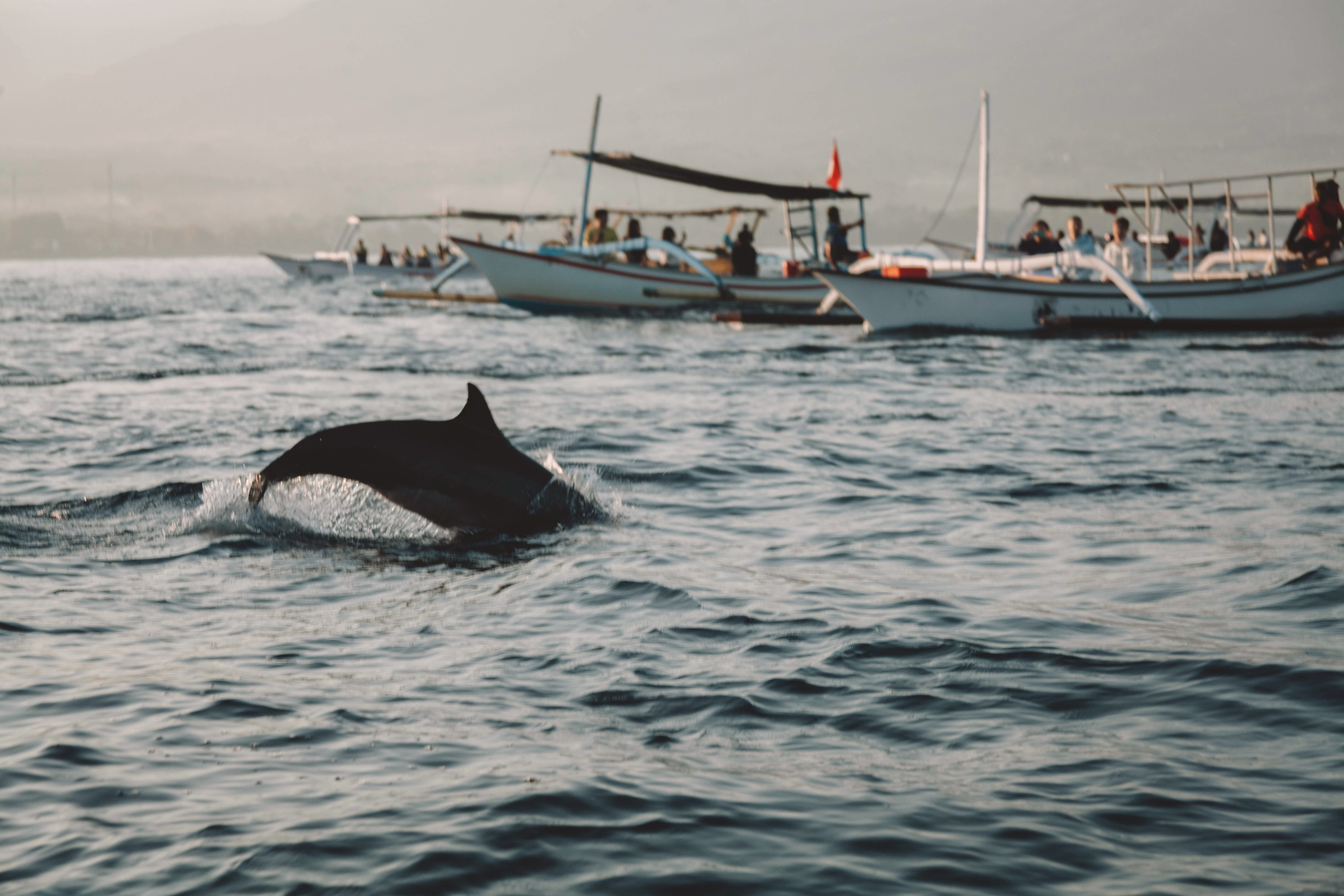 Landscapes. Wedding photographer Lyubov Sun Reutlingen
