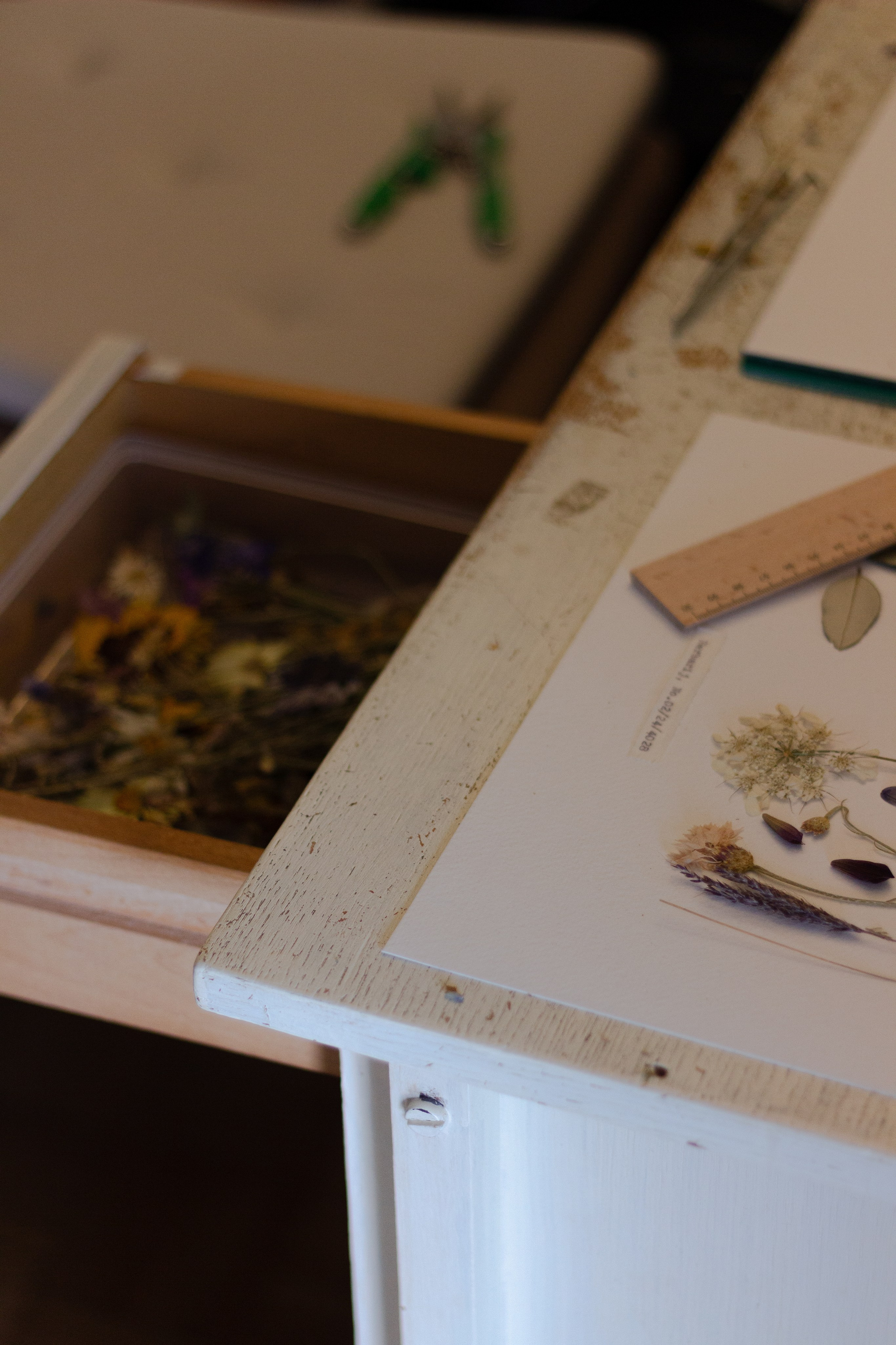 Portfolio. Herbarij studio