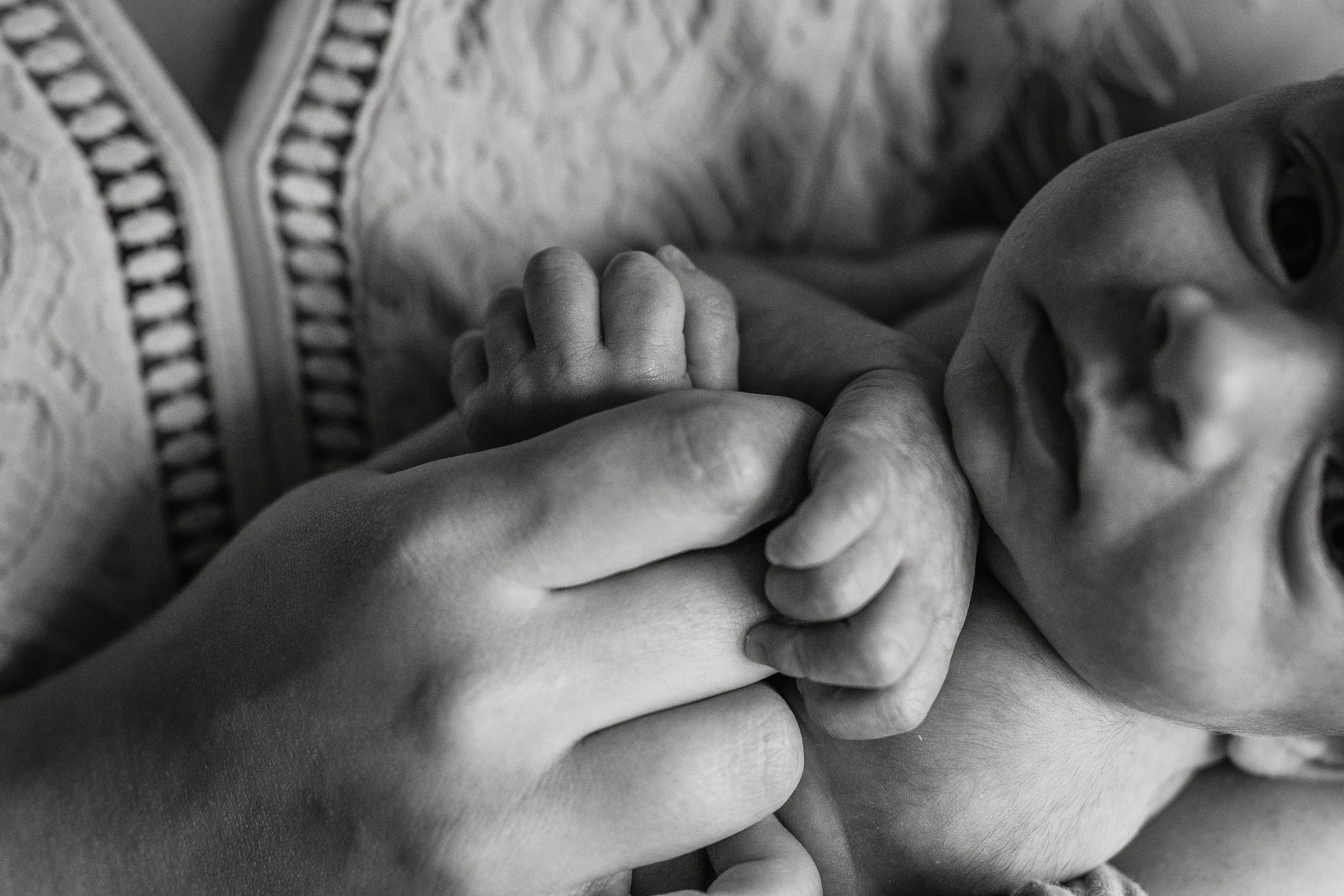 Sara, Henry, Landon, Oliver, Mila, Isla. Wedding and family photographer and videographer PA, NJ, NY, DE, MD