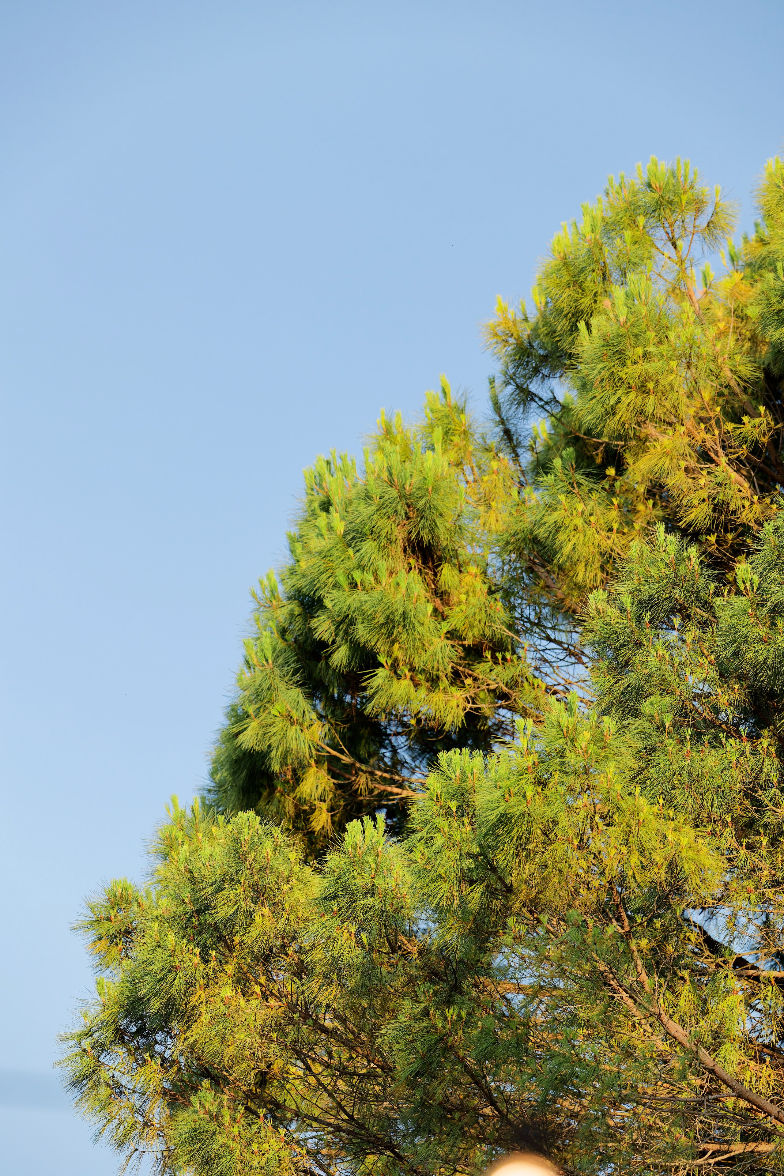 Wedding at La Torre di Pila, Umbria, Italy