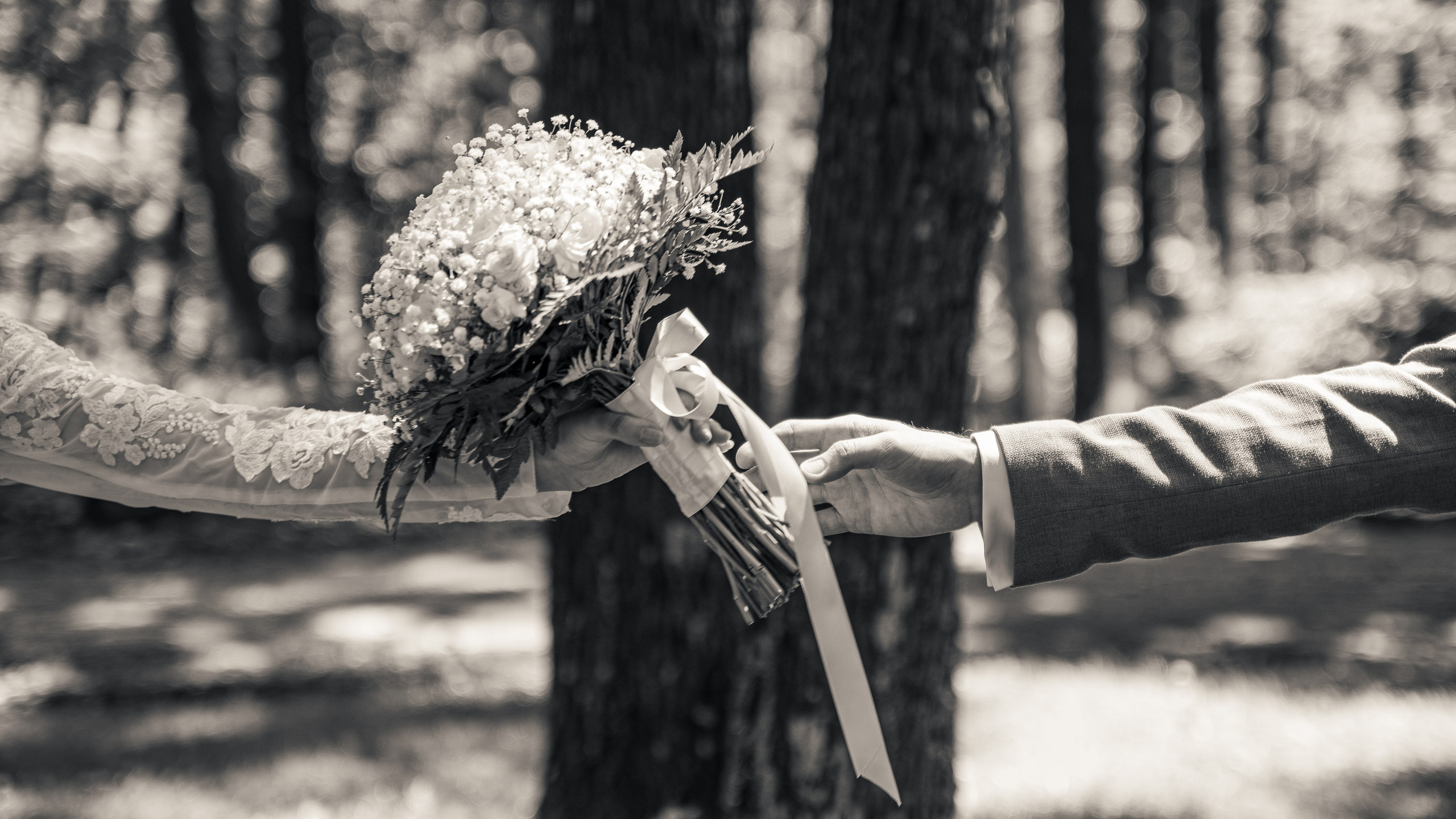 Incadru — Fotograf Profesionist Evenimente și Portrete în București