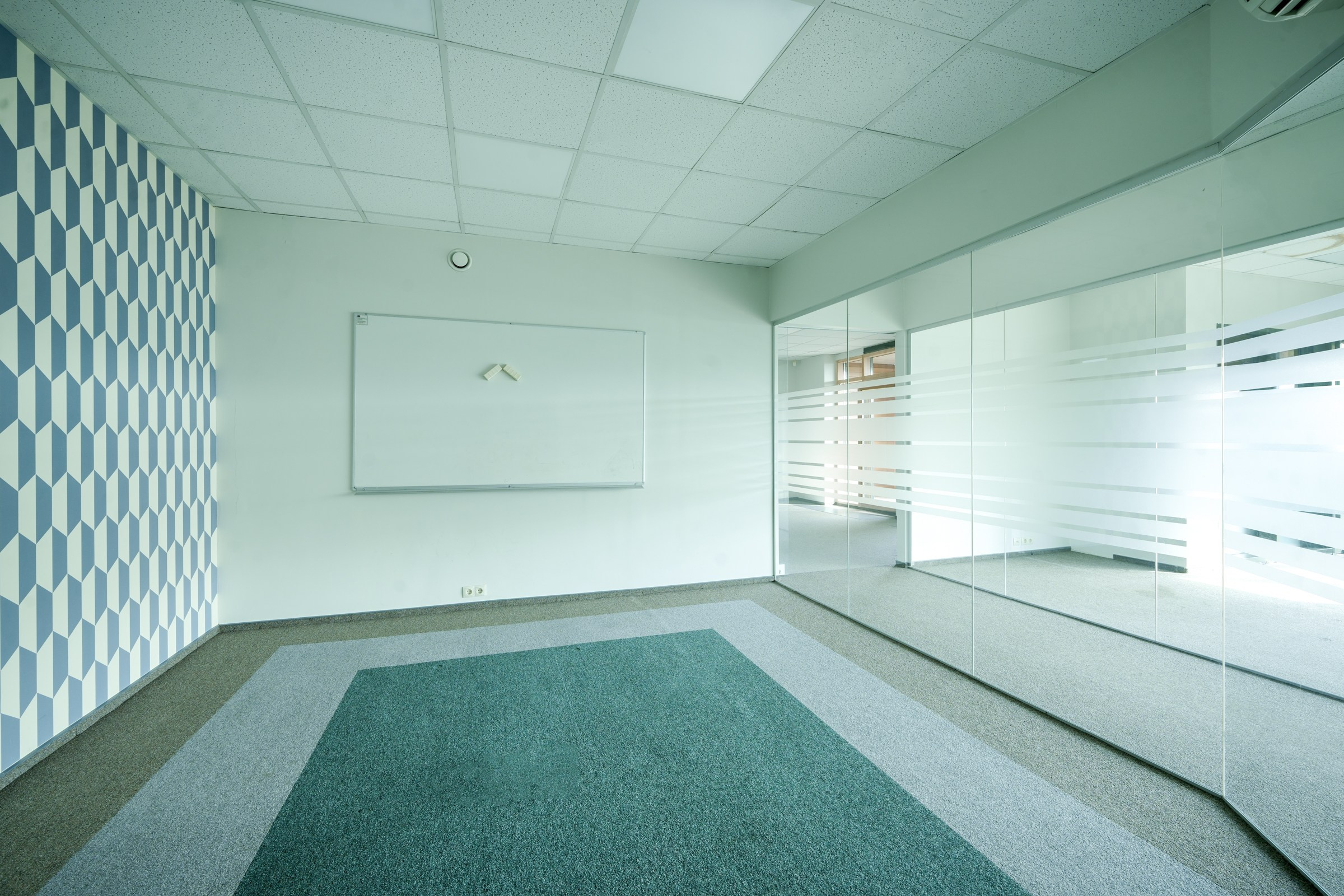 Olimpiečių 1. Elina Sapiega fotografė Vilniuje