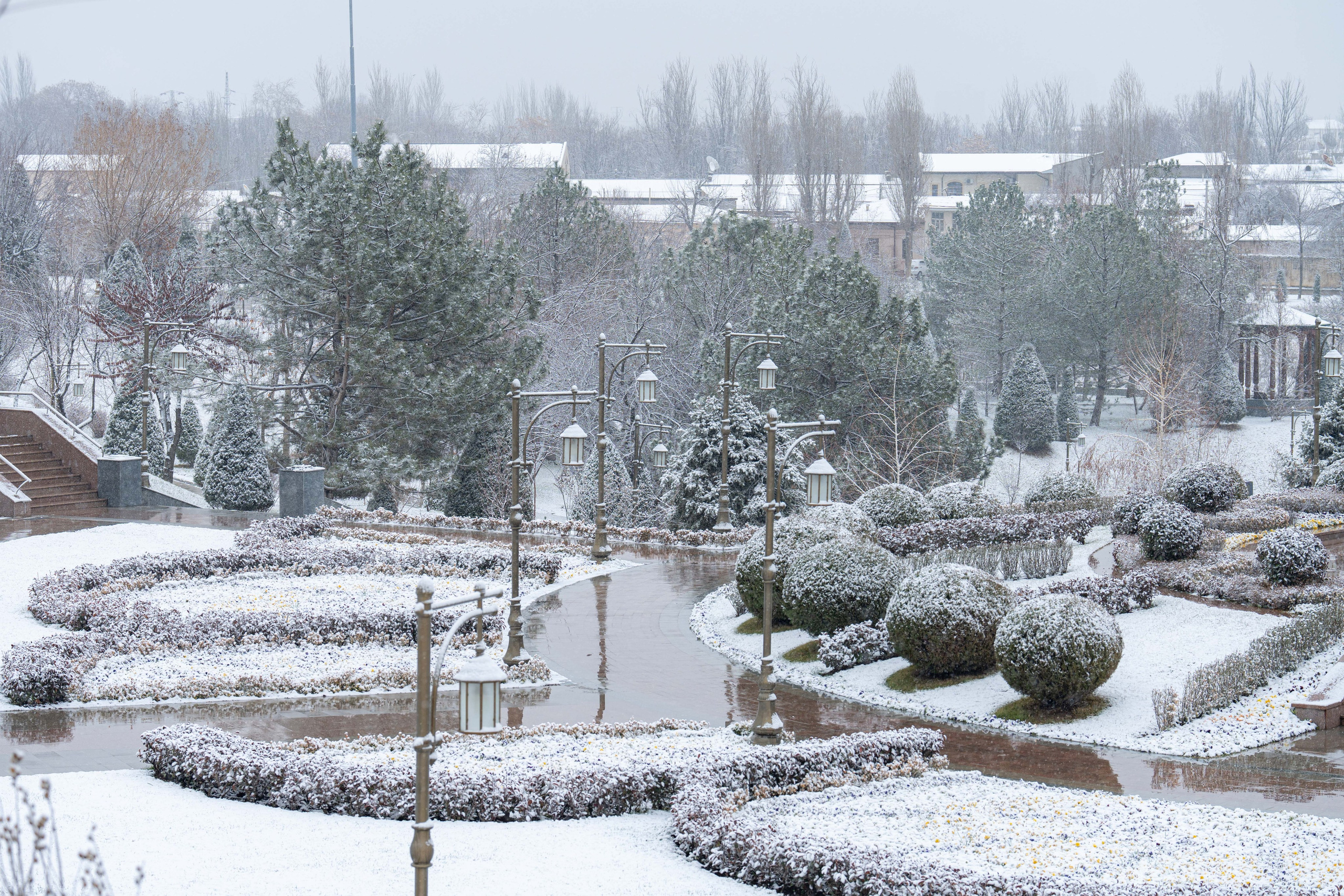 Первый снег в 2024 году. Георгий Намазов | Фотограф в Ташкенте