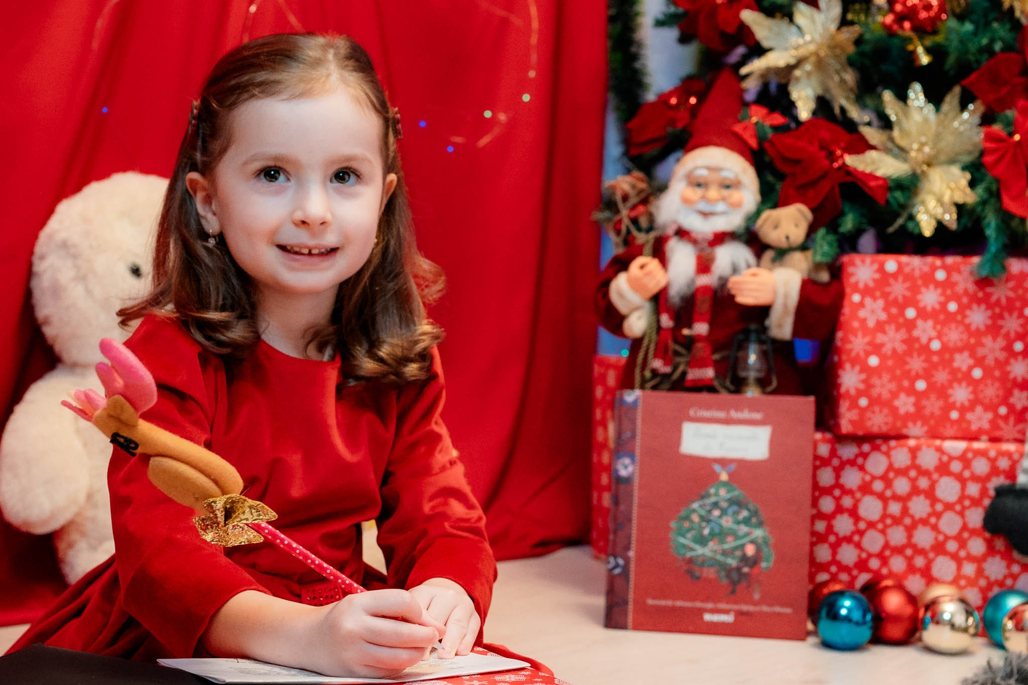 Sedinta Craciun Nicoleta