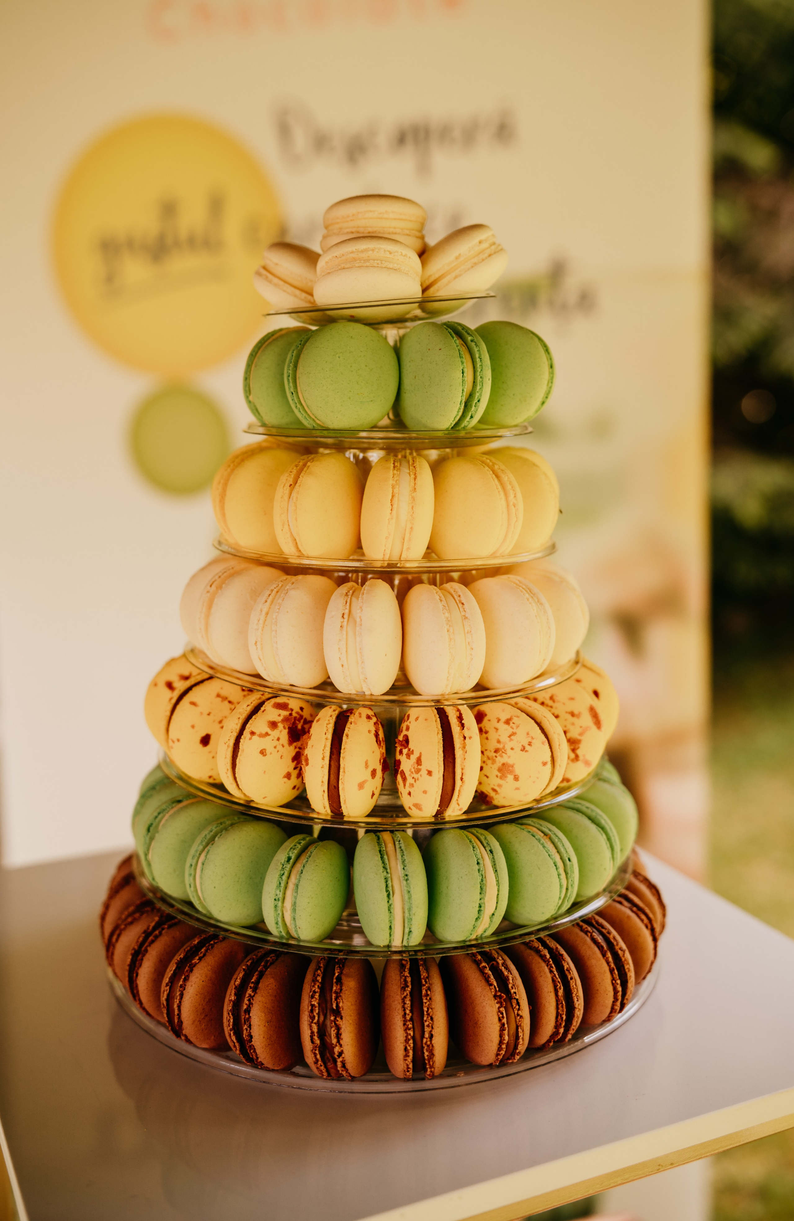 Amos' s 1st Birthday. Fotograf Nunta Iasi - Hearts & Pictures