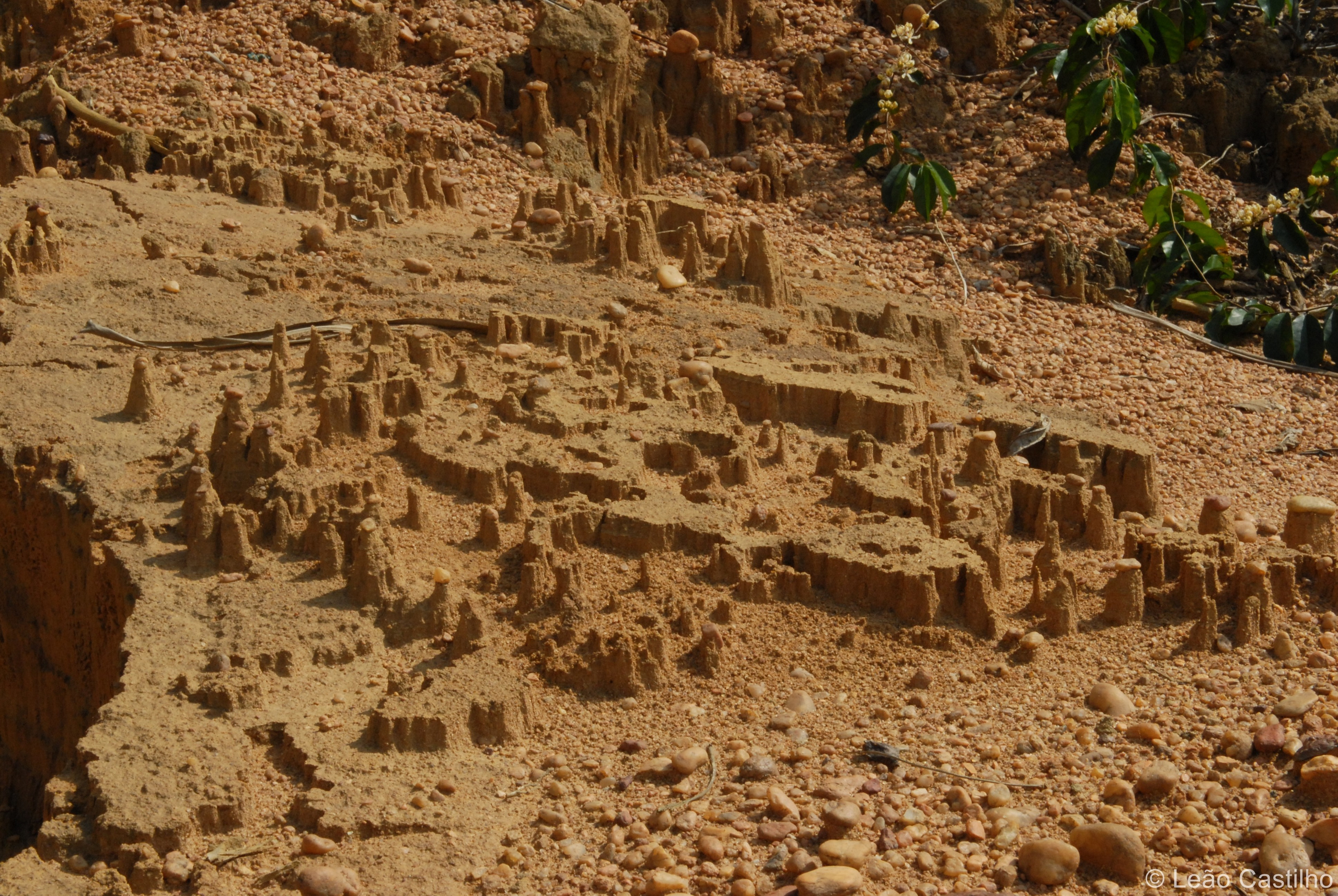 Photos from Congo people. Simbahalu