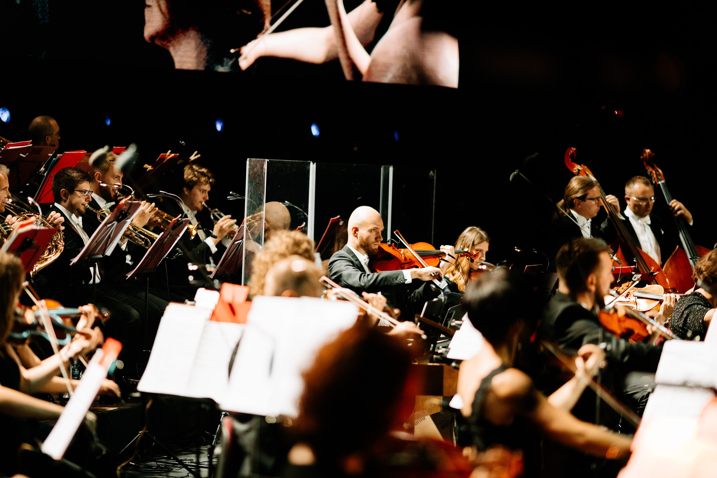 Opera Leśna Koncert. Fotograf Ślubny Warszawa - Sesje Biznesowe Rodzinne Eventy