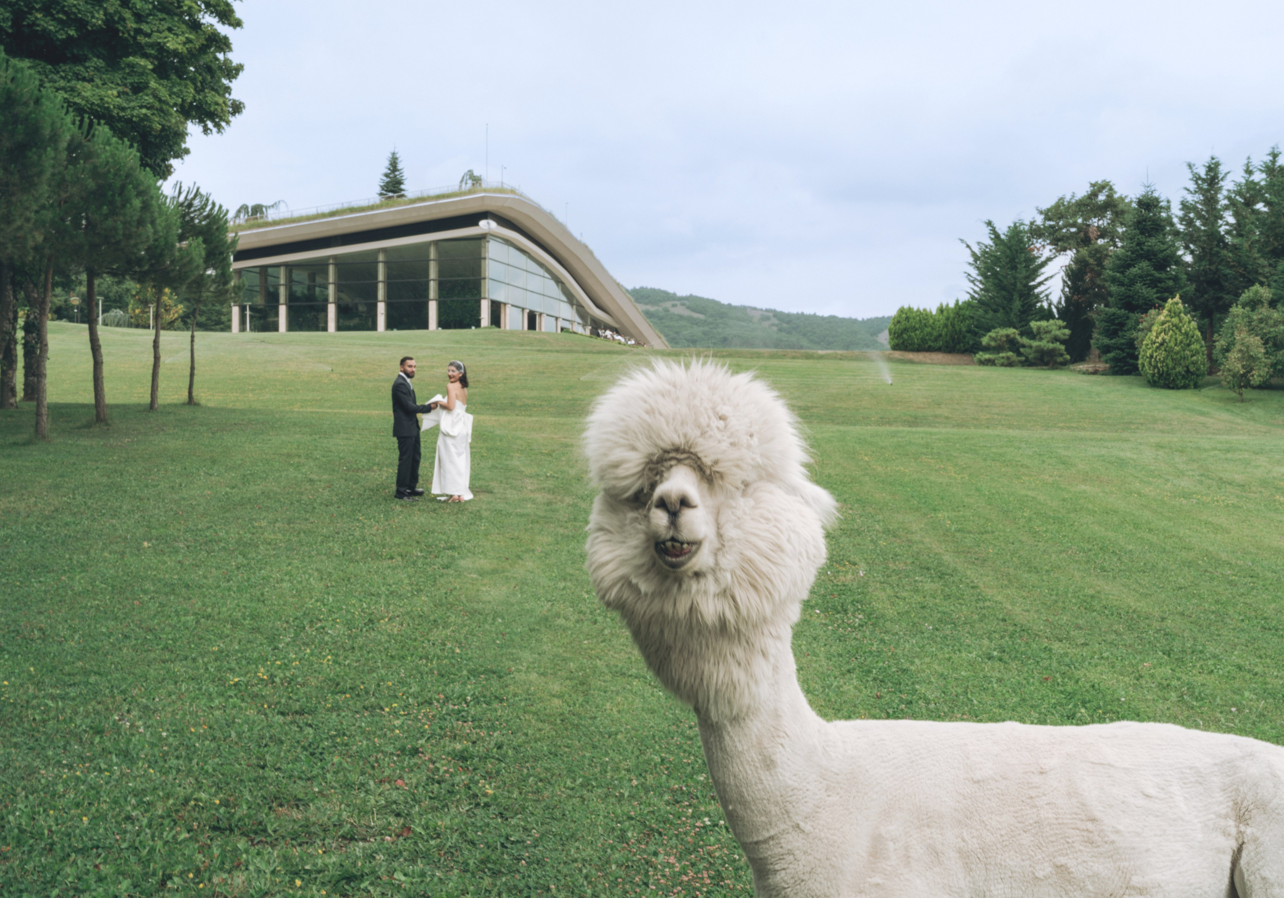 Wedding Bioli. Create your own history with Pierre Studio