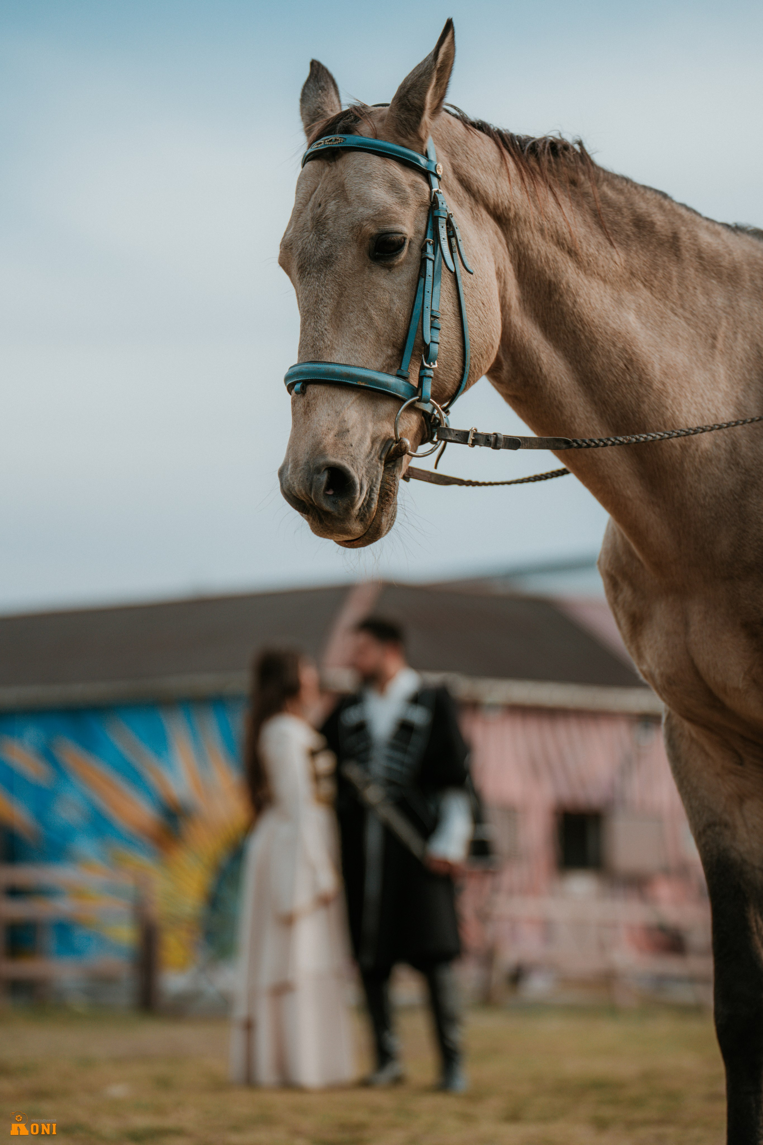 Love Story — სალო & თორნიკე