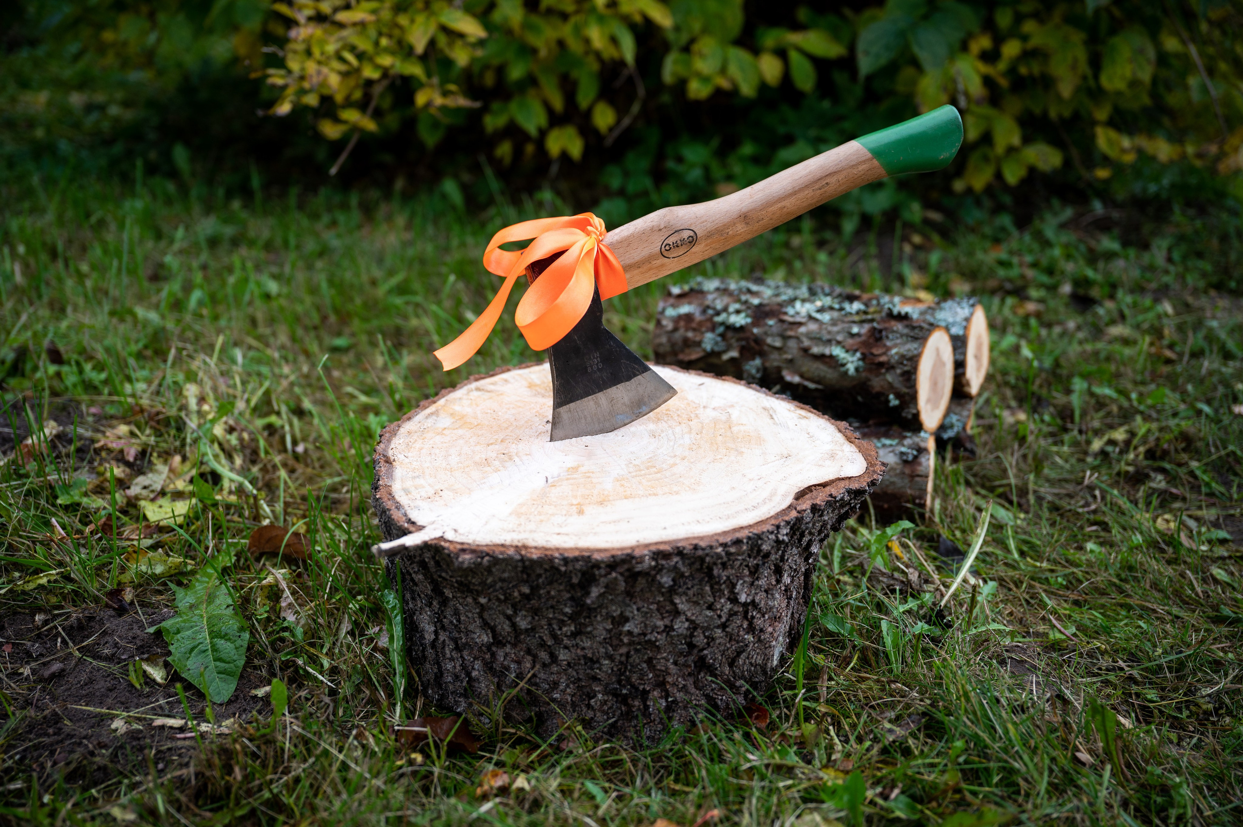 Sandis & Ieva. Ritvars Pujats Emotion Photographer